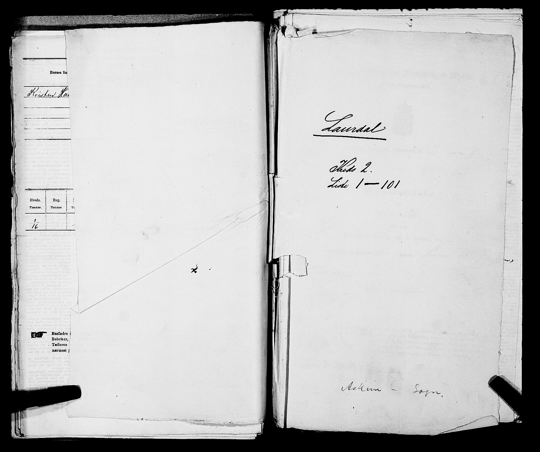 SAKO, Folketelling 1875 for 0728P Lardal prestegjeld, 1875, s. 196