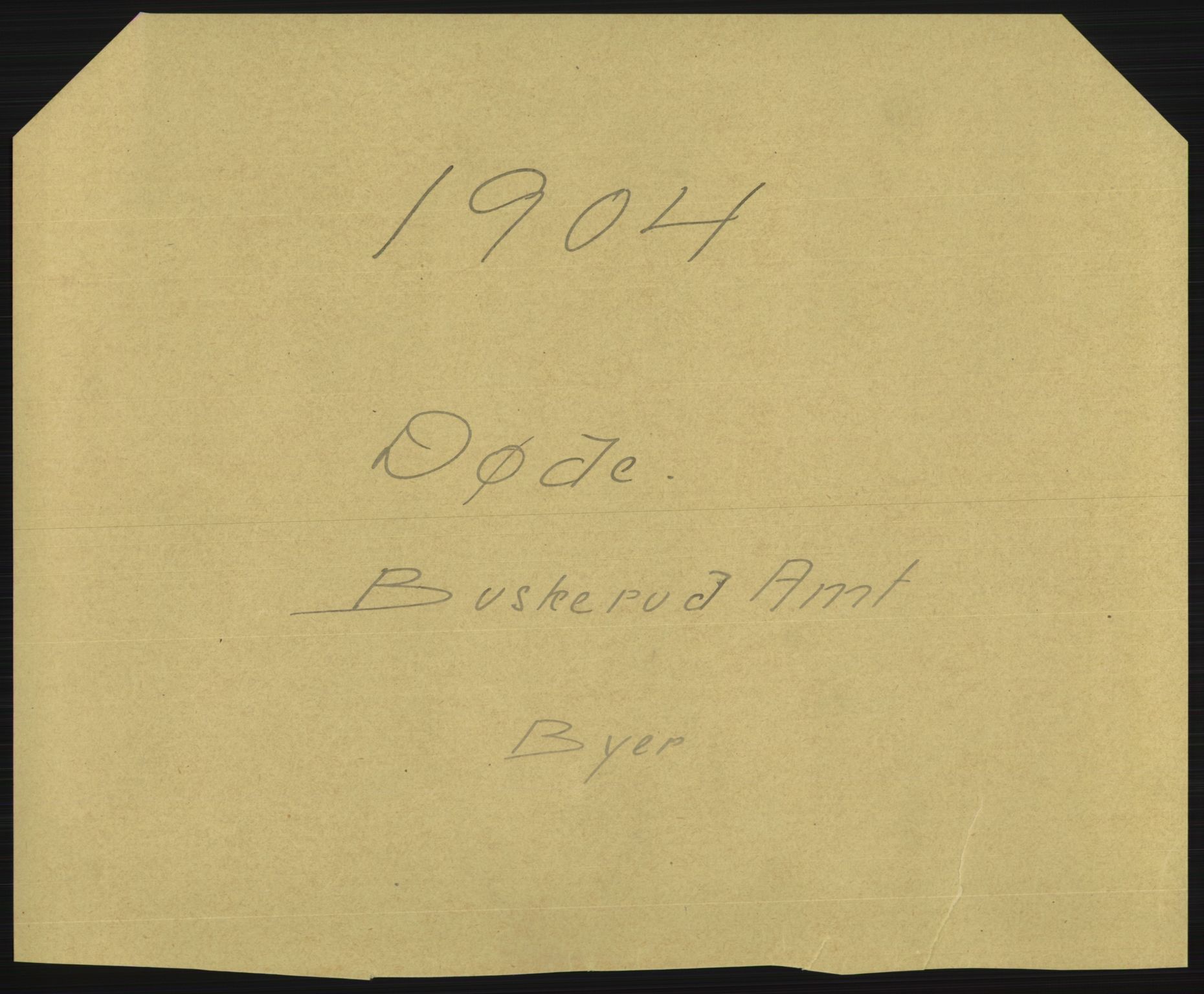 Statistisk sentralbyrå, Sosiodemografiske emner, Befolkning, AV/RA-S-2228/D/Df/Dfa/Dfab/L0007: Buskerud amt: Fødte, gifte, døde, 1904, s. 665