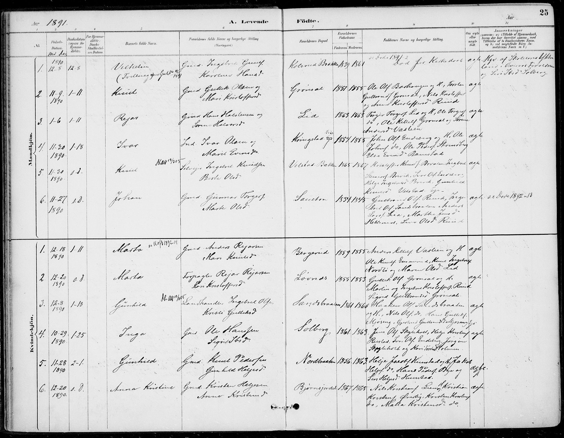 Sigdal kirkebøker, AV/SAKO-A-245/F/Fb/L0001: Ministerialbok nr. II 1, 1888-1900, s. 25