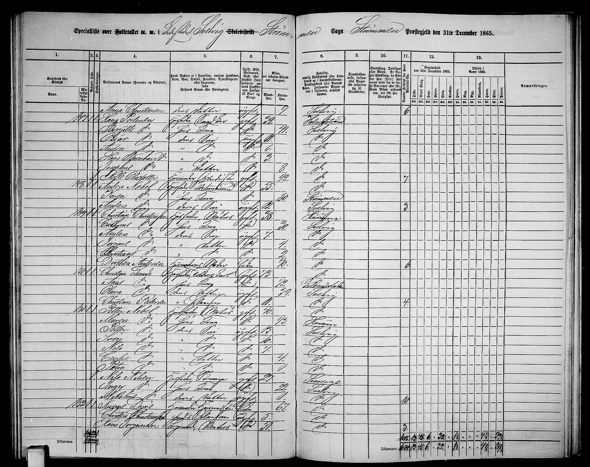 RA, Folketelling 1865 for 0711P Strømm prestegjeld, 1865, s. 96