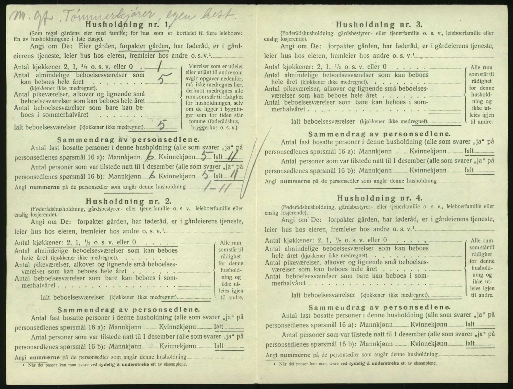 SAKO, Folketelling 1920 for 0727 Hedrum herred, 1920, s. 1436