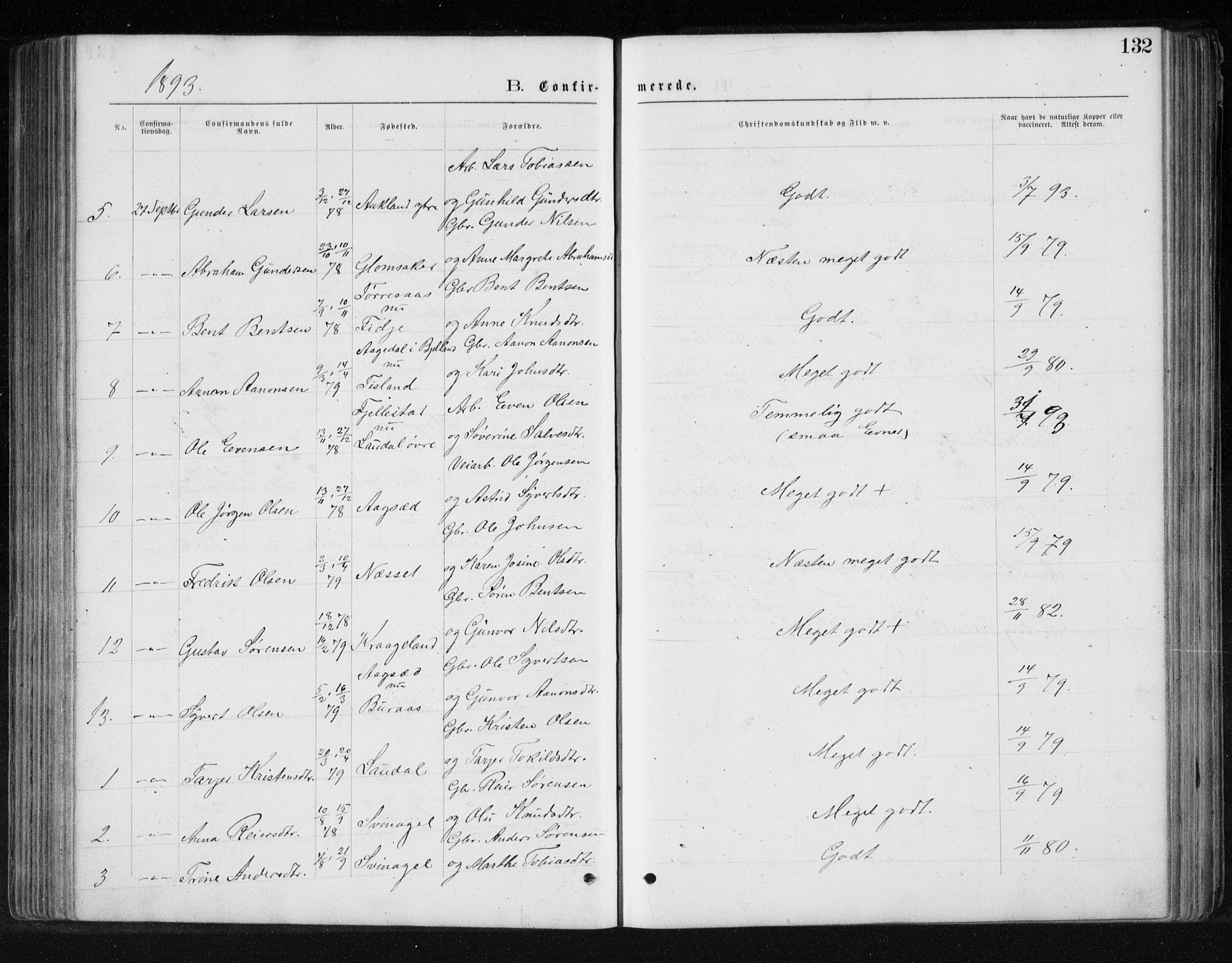 Holum sokneprestkontor, AV/SAK-1111-0022/F/Fb/Fbb/L0003: Klokkerbok nr. B 3, 1875-1898, s. 132