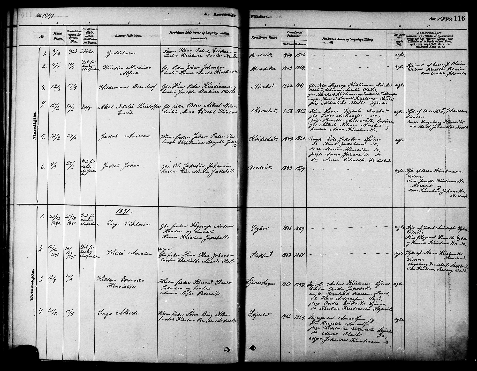 Ministerialprotokoller, klokkerbøker og fødselsregistre - Nordland, SAT/A-1459/852/L0740: Ministerialbok nr. 852A10, 1878-1894, s. 116