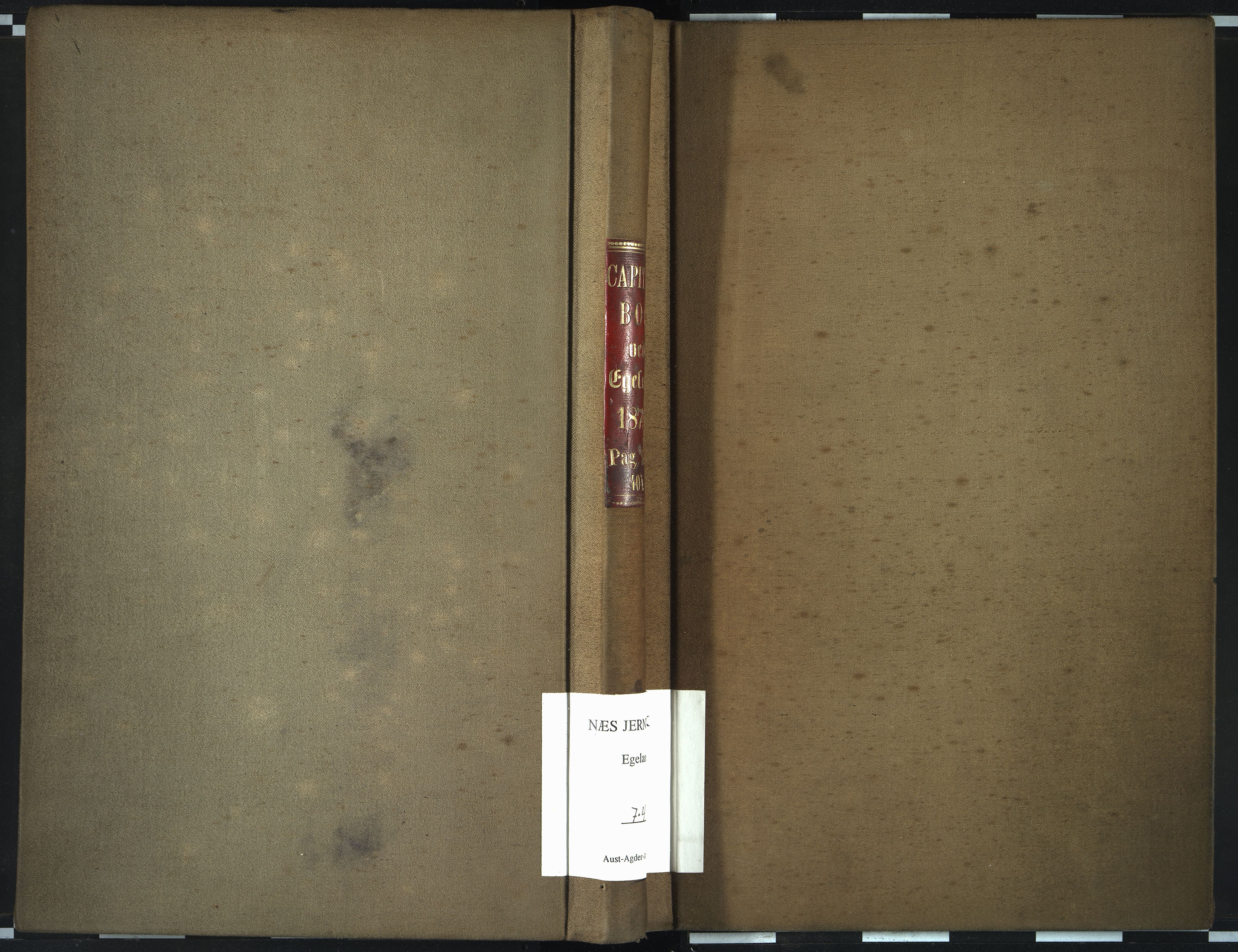 Egelands Verk, NESJ/NJM-002/07/L0004: Kapital-bok, 1879