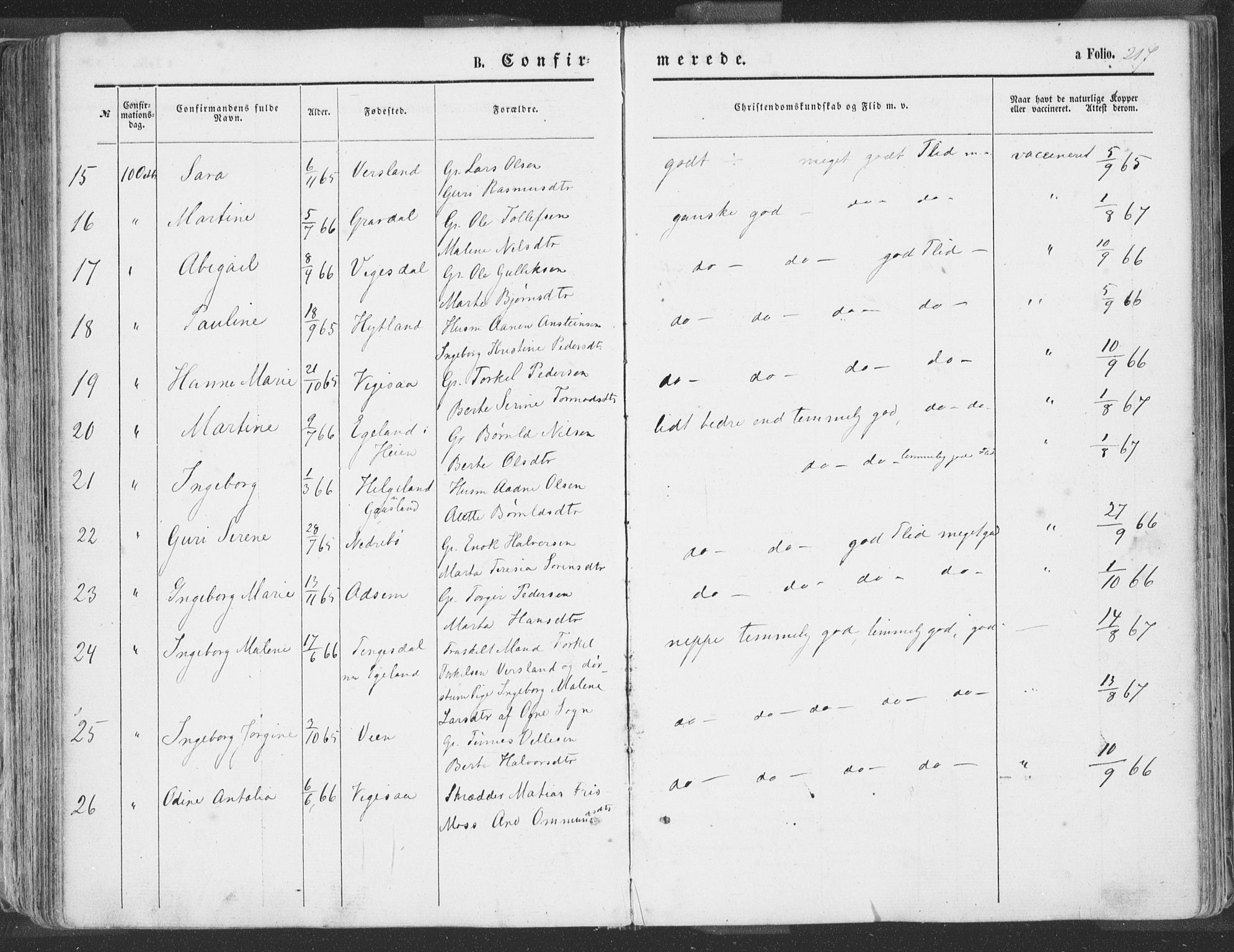 Helleland sokneprestkontor, SAST/A-101810: Ministerialbok nr. A 7.1, 1863-1886, s. 217