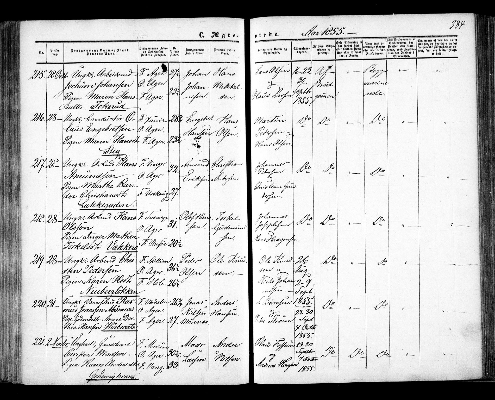 Aker prestekontor kirkebøker, AV/SAO-A-10861/F/L0020: Ministerialbok nr. 20, 1853-1857, s. 384