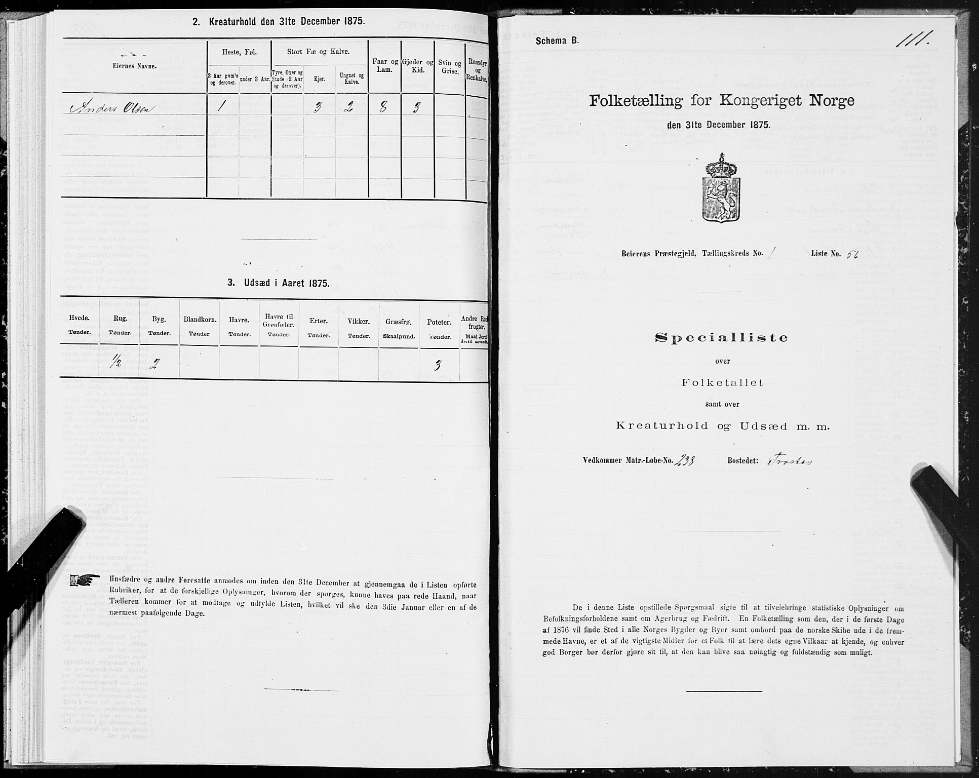 SAT, Folketelling 1875 for 1839P Beiarn prestegjeld, 1875, s. 1111