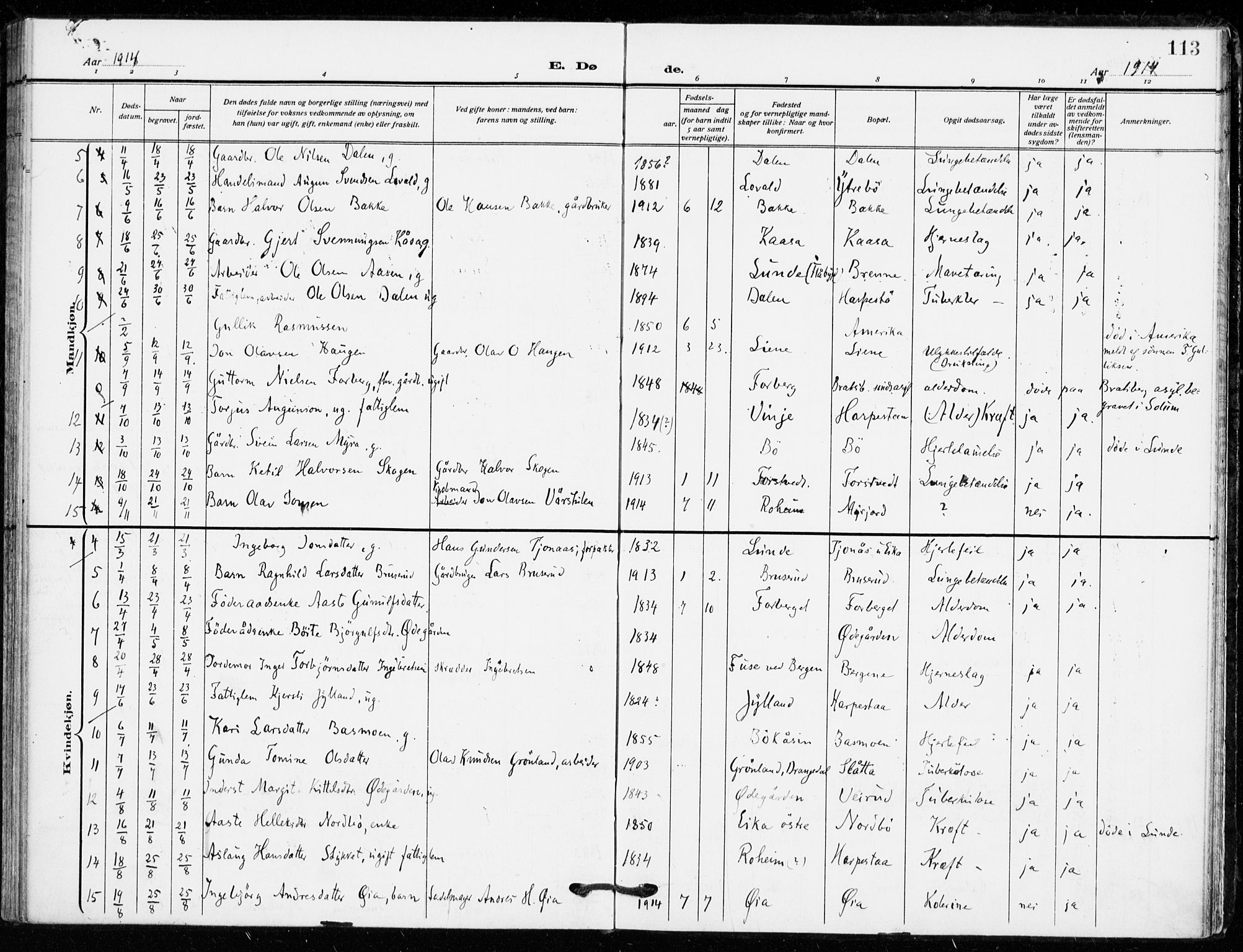 Bø kirkebøker, AV/SAKO-A-257/F/Fa/L0013: Ministerialbok nr. 13, 1909-1921, s. 113