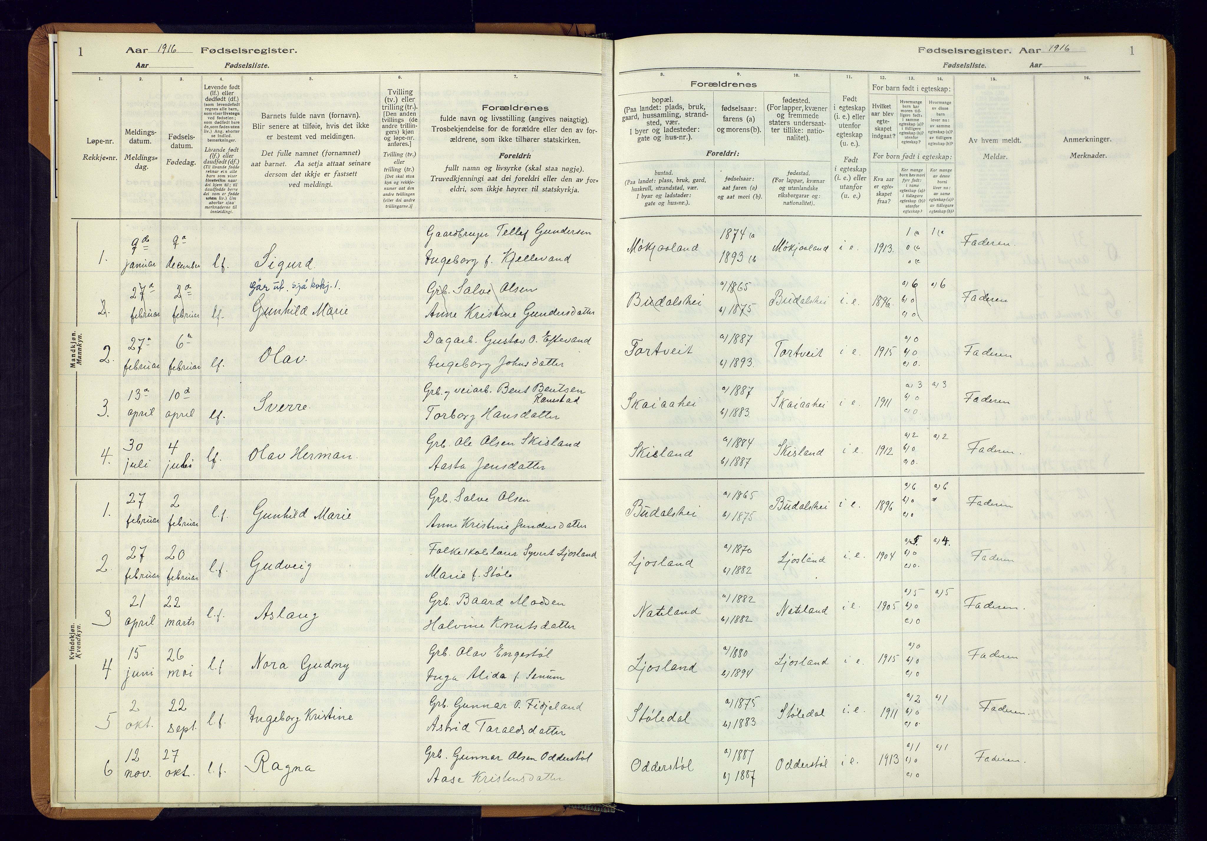 Evje sokneprestkontor, AV/SAK-1111-0008/J/Jc/L0003: Fødselsregister nr. II.4.3, 1916-1982, s. 1