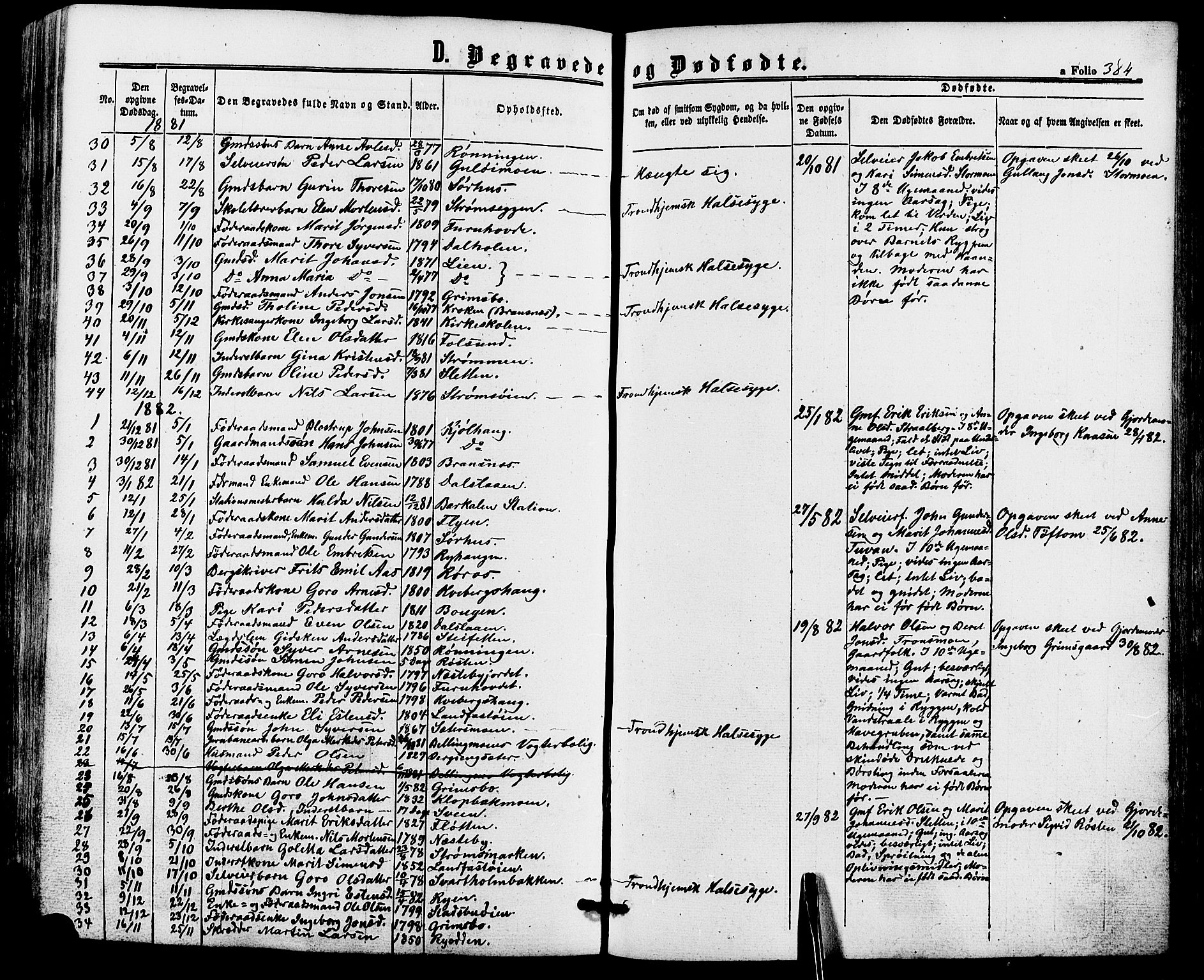 Alvdal prestekontor, AV/SAH-PREST-060/H/Ha/Haa/L0001: Ministerialbok nr. 1, 1863-1882, s. 384