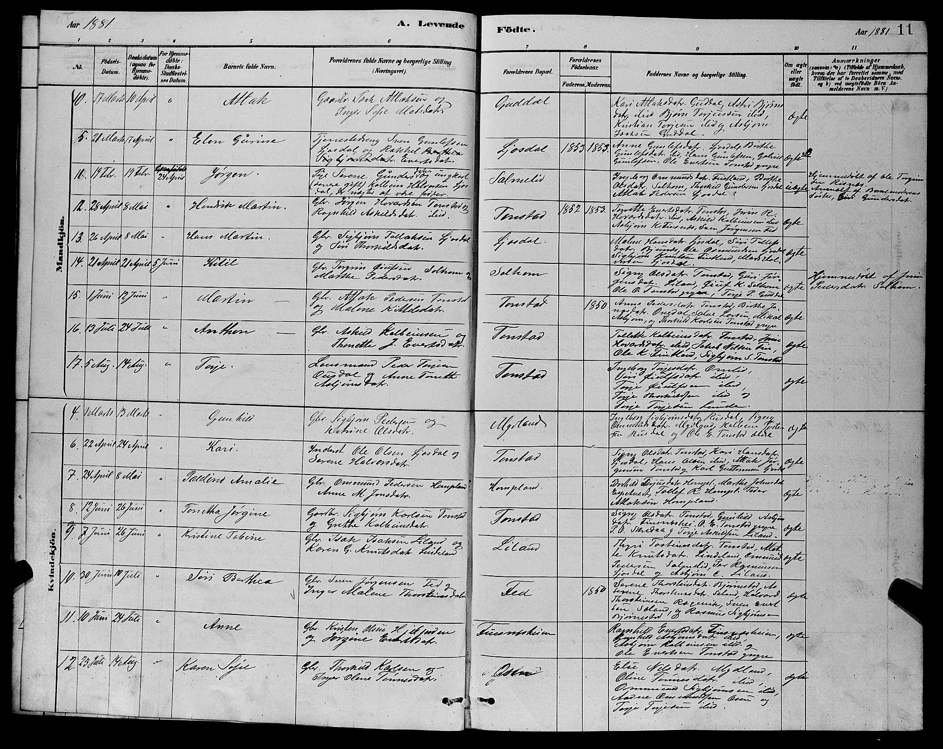 Sirdal sokneprestkontor, AV/SAK-1111-0036/F/Fb/Fbb/L0003: Klokkerbok nr. B 3, 1878-1894, s. 11