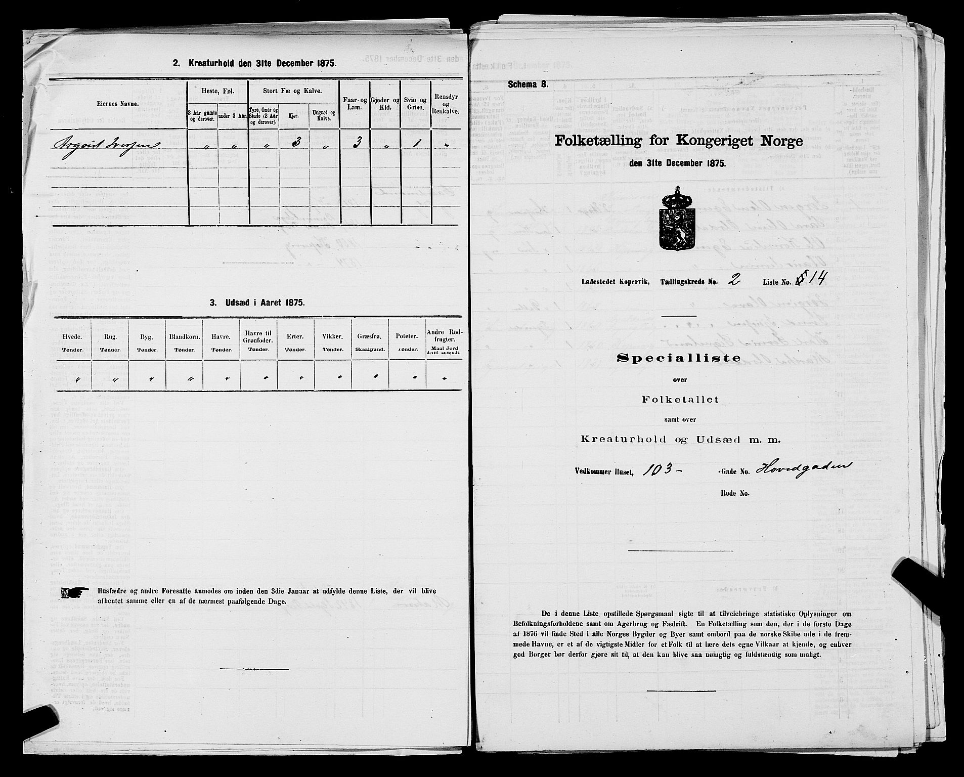 SAST, Folketelling 1875 for 1105B Avaldsnes prestegjeld, Kopervik ladested, 1875, s. 30