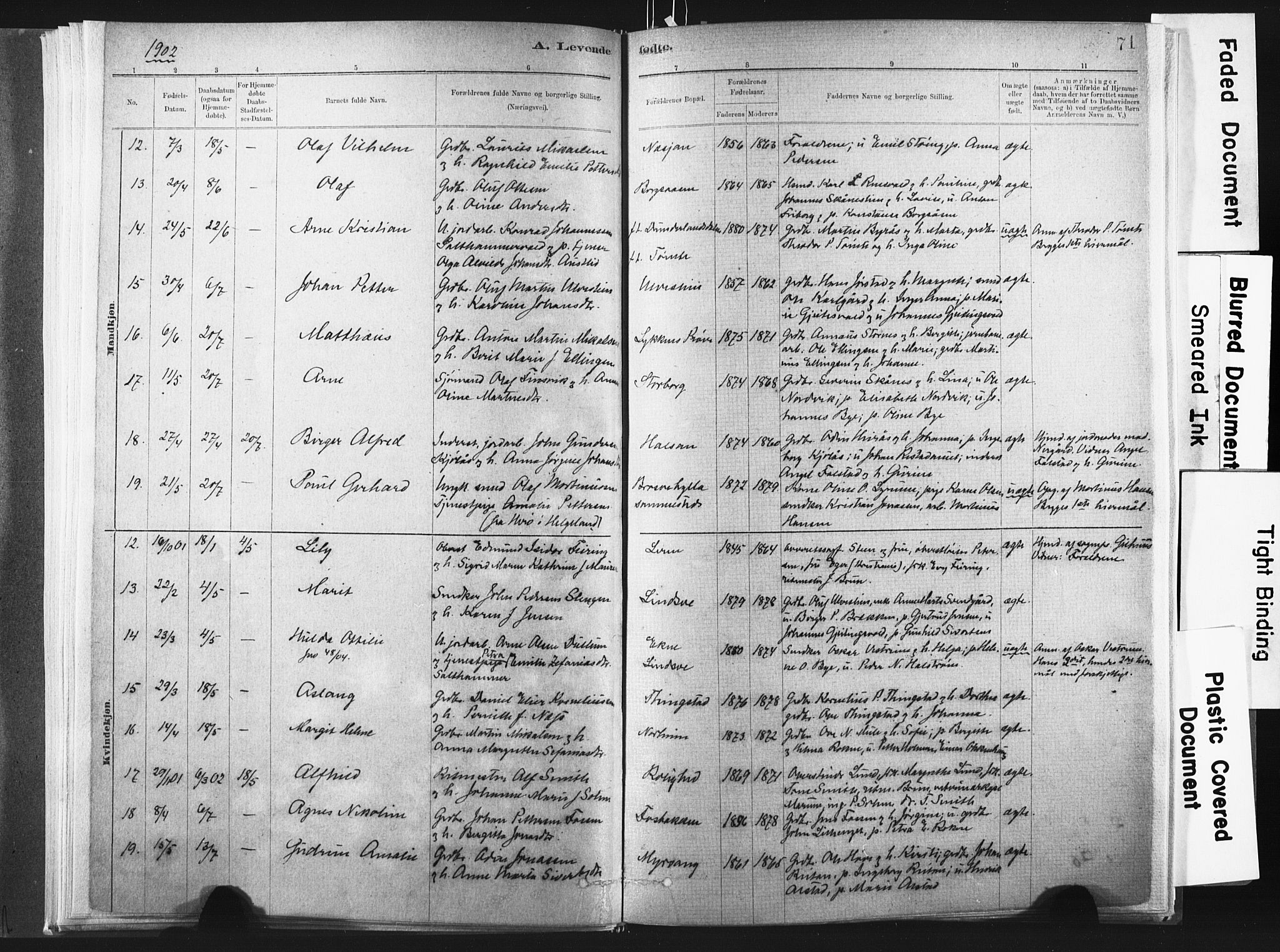 Ministerialprotokoller, klokkerbøker og fødselsregistre - Nord-Trøndelag, SAT/A-1458/721/L0207: Ministerialbok nr. 721A02, 1880-1911, s. 71