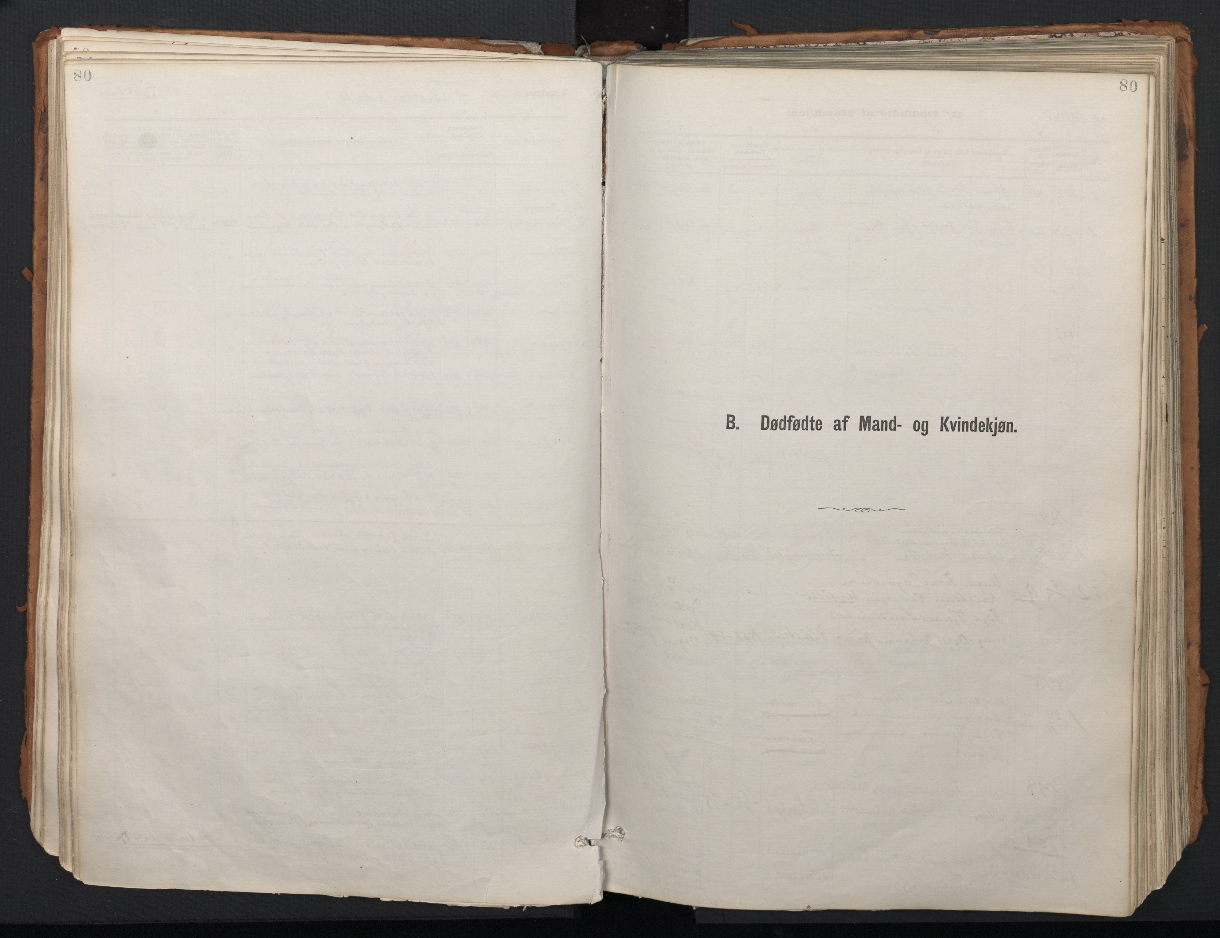 Ministerialprotokoller, klokkerbøker og fødselsregistre - Nordland, AV/SAT-A-1459/824/L0338: Ministerialbok nr. 824A01, 1880-1915, s. 80