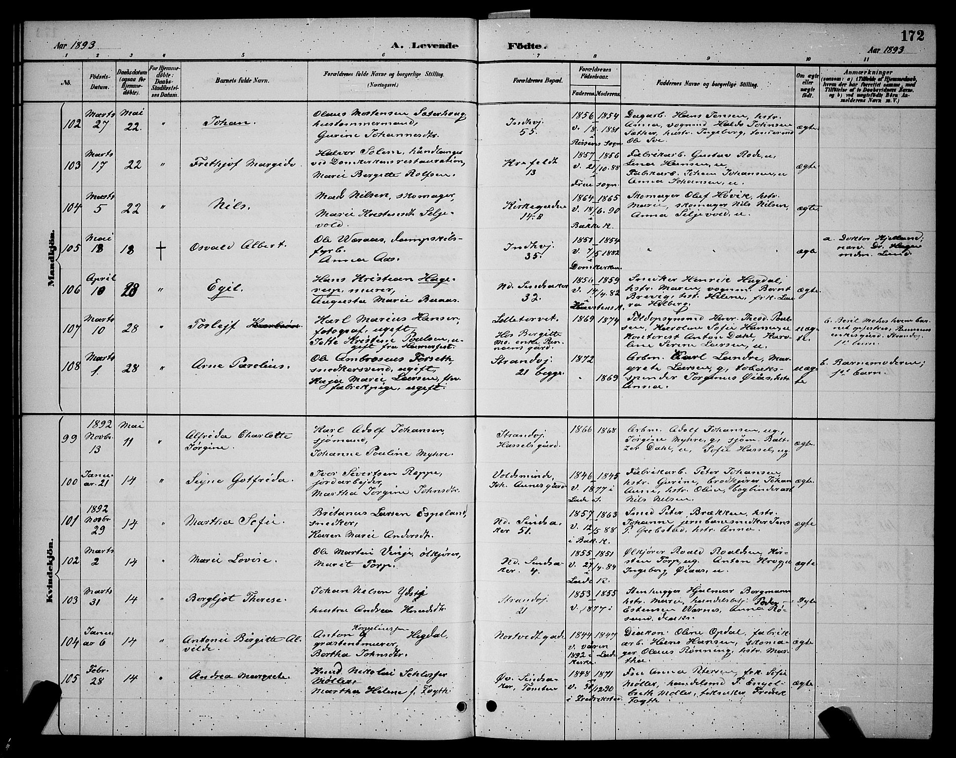 Ministerialprotokoller, klokkerbøker og fødselsregistre - Sør-Trøndelag, SAT/A-1456/604/L0222: Klokkerbok nr. 604C05, 1886-1895, s. 172
