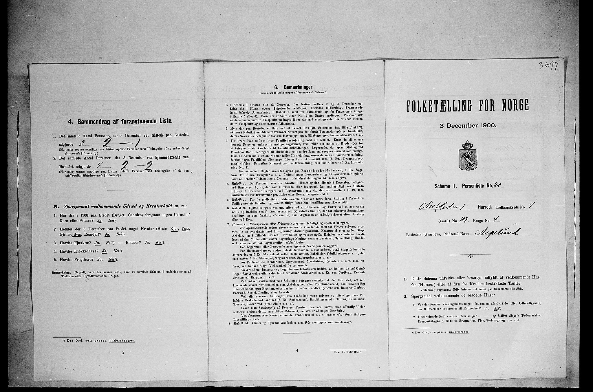 SAH, Folketelling 1900 for 0411 Nes herred, 1900, s. 590