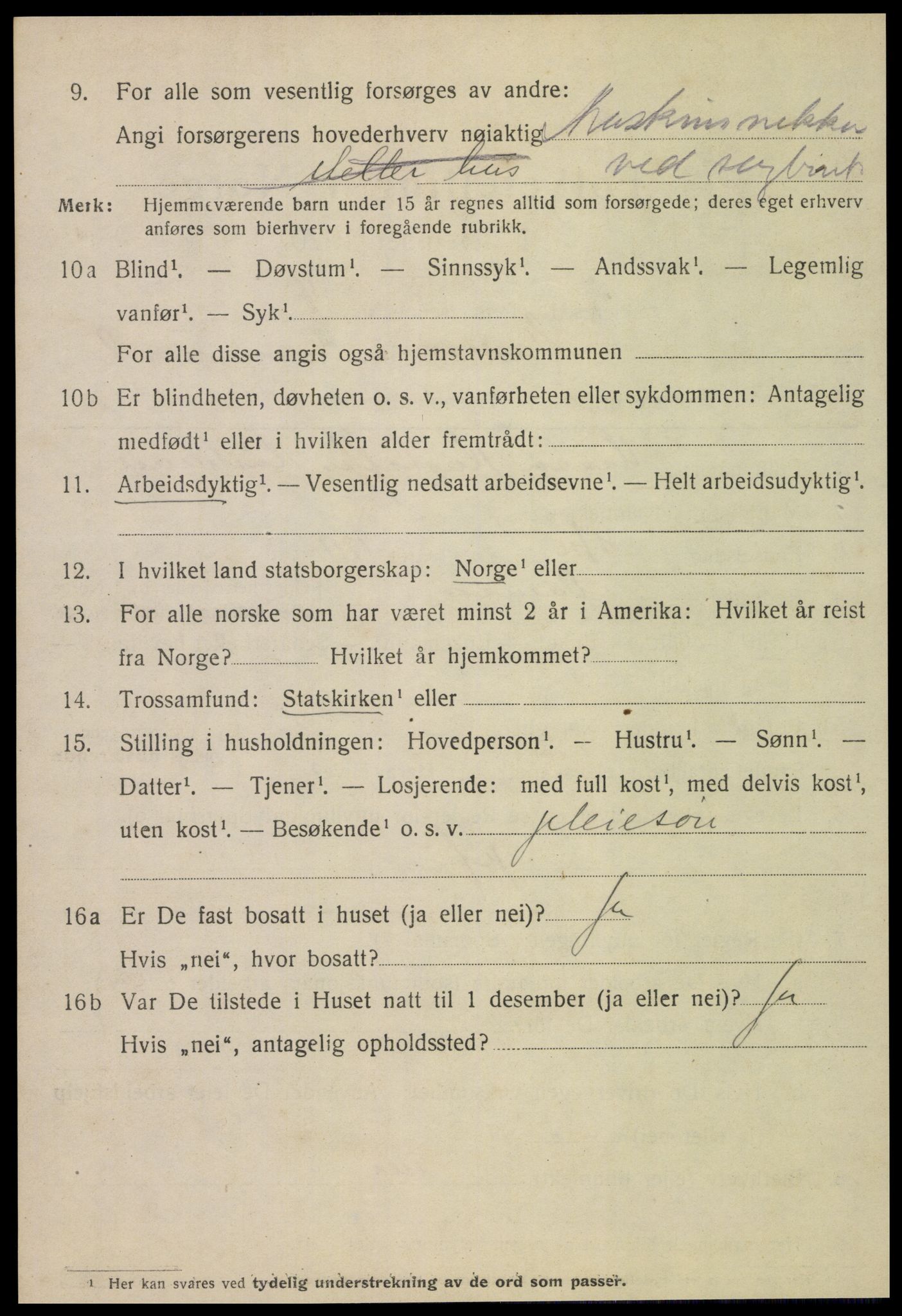 SAT, Folketelling 1920 for 1703 Namsos ladested, 1920, s. 6060