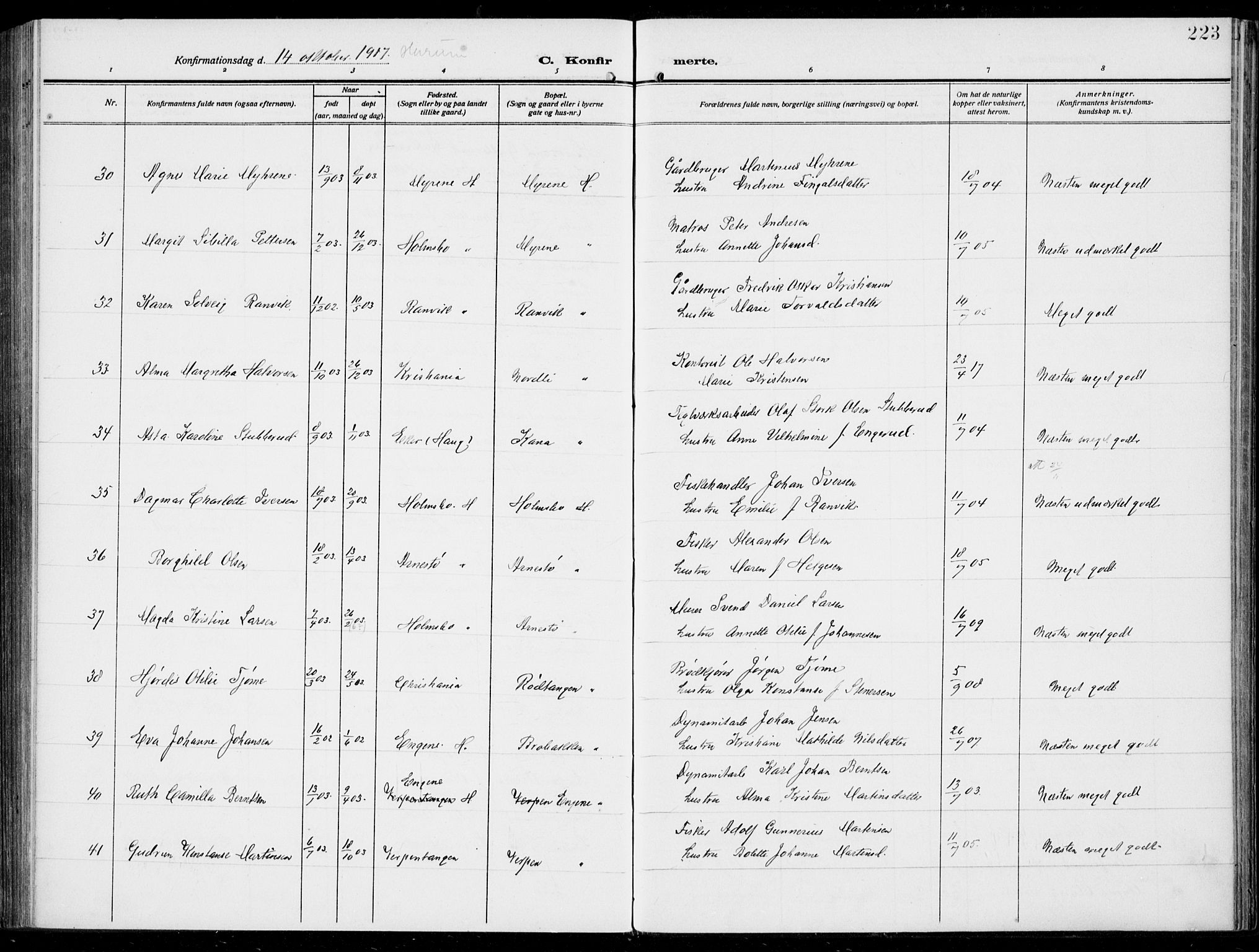 Hurum kirkebøker, AV/SAKO-A-229/F/Fa/L0016: Ministerialbok nr. 16, 1899-1918, s. 223