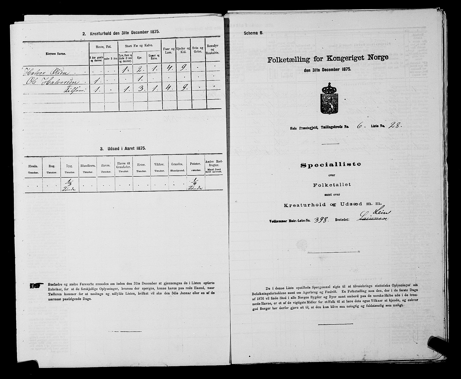 SAKO, Folketelling 1875 for 0620P Hol prestegjeld, 1875, s. 718