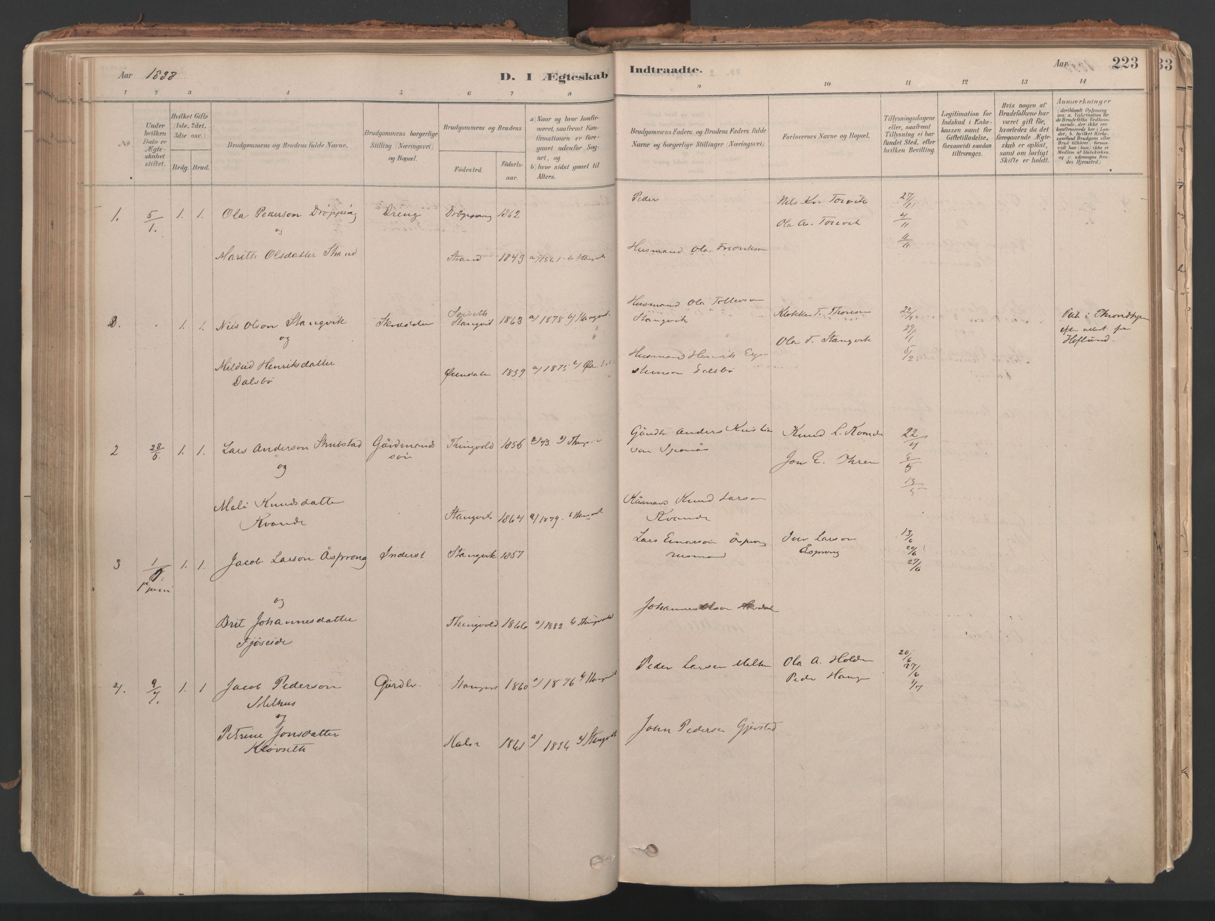 Ministerialprotokoller, klokkerbøker og fødselsregistre - Møre og Romsdal, AV/SAT-A-1454/592/L1029: Ministerialbok nr. 592A07, 1879-1902, s. 223