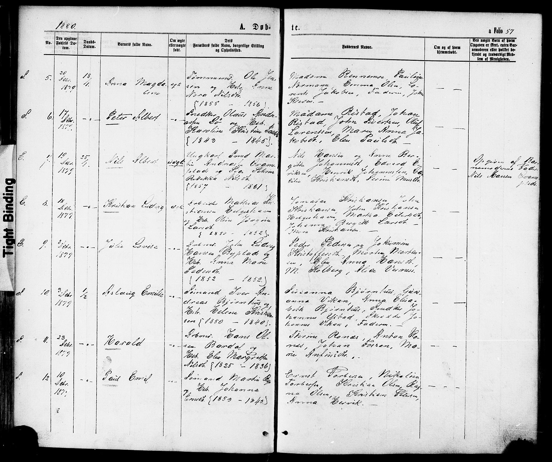 Ministerialprotokoller, klokkerbøker og fødselsregistre - Nord-Trøndelag, AV/SAT-A-1458/739/L0370: Ministerialbok nr. 739A02, 1868-1881, s. 57