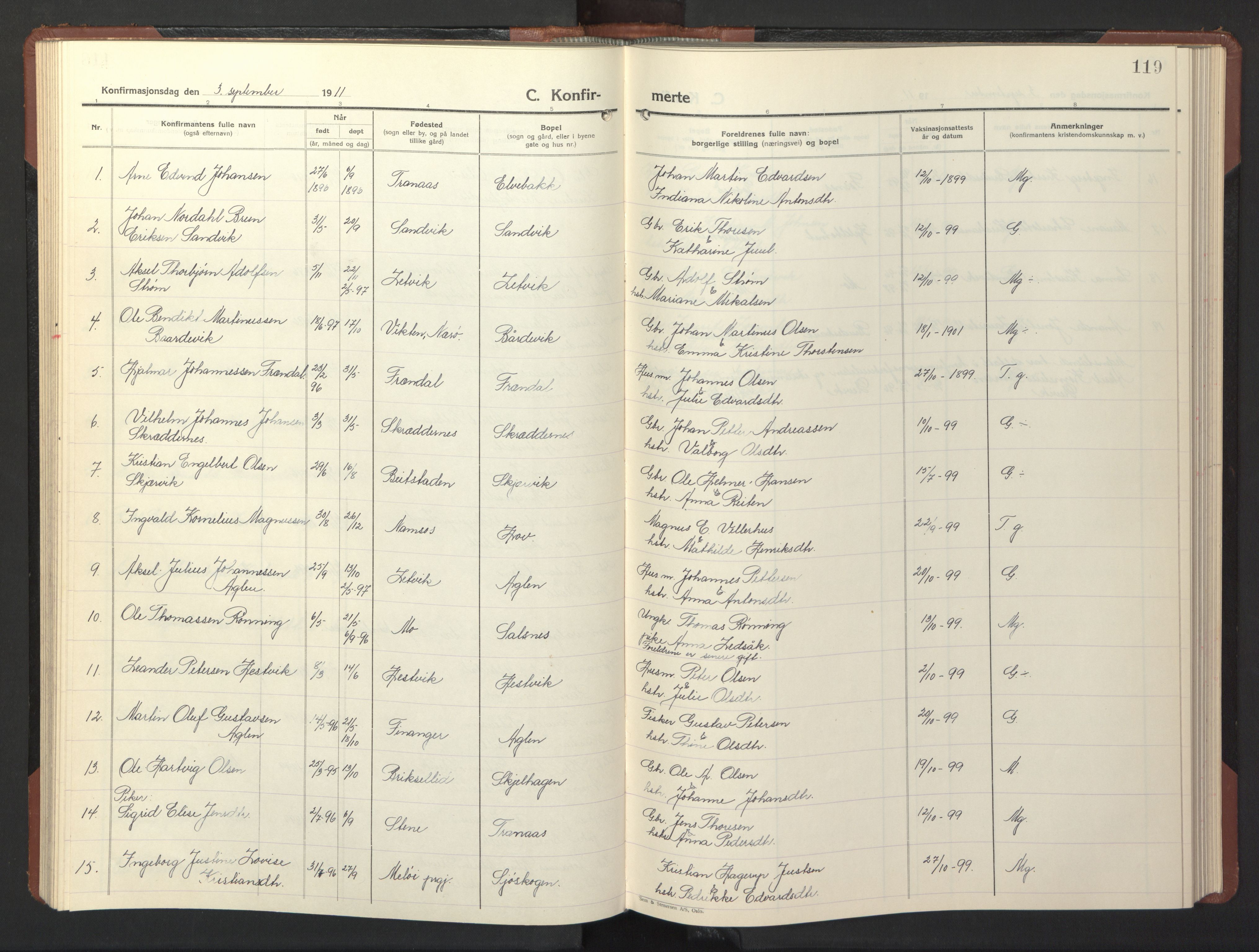 Ministerialprotokoller, klokkerbøker og fødselsregistre - Nord-Trøndelag, AV/SAT-A-1458/773/L0625: Klokkerbok nr. 773C01, 1910-1952, s. 119