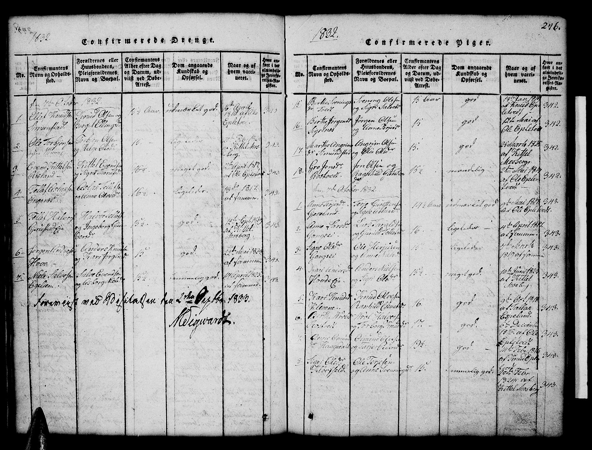 Åmli sokneprestkontor, SAK/1111-0050/F/Fb/Fbc/L0001: Klokkerbok nr. B 1, 1816-1867, s. 246