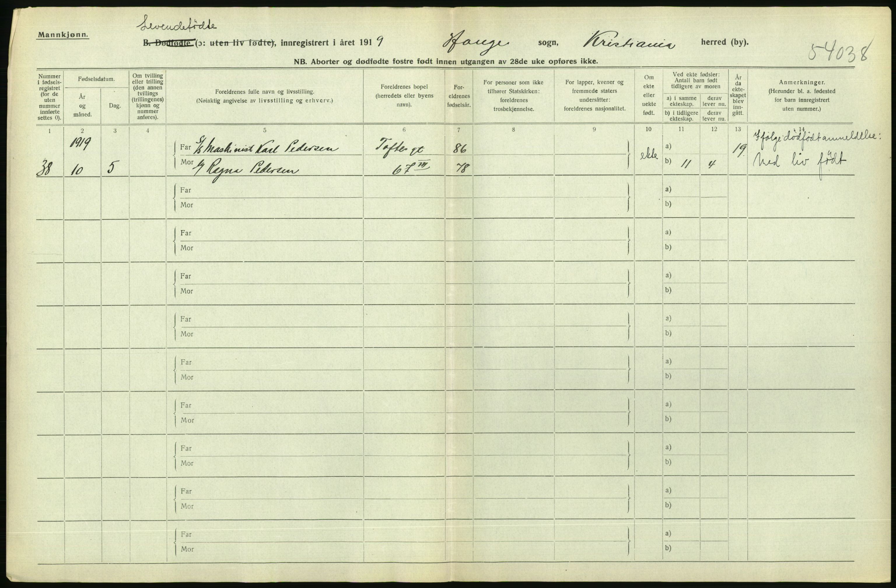 Statistisk sentralbyrå, Sosiodemografiske emner, Befolkning, AV/RA-S-2228/D/Df/Dfb/Dfbi/L0008: Kristiania: Levendefødte menn og kvinner., 1919