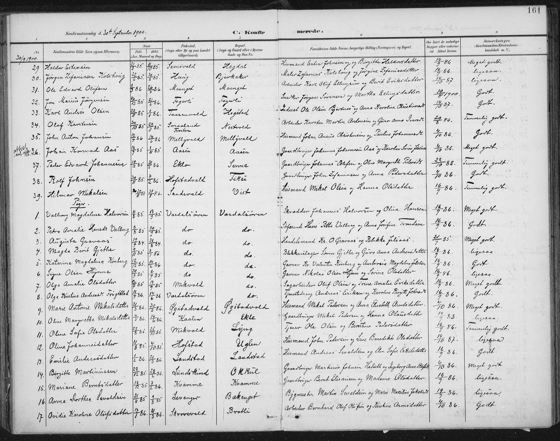 Ministerialprotokoller, klokkerbøker og fødselsregistre - Nord-Trøndelag, AV/SAT-A-1458/723/L0246: Ministerialbok nr. 723A15, 1900-1917, s. 161