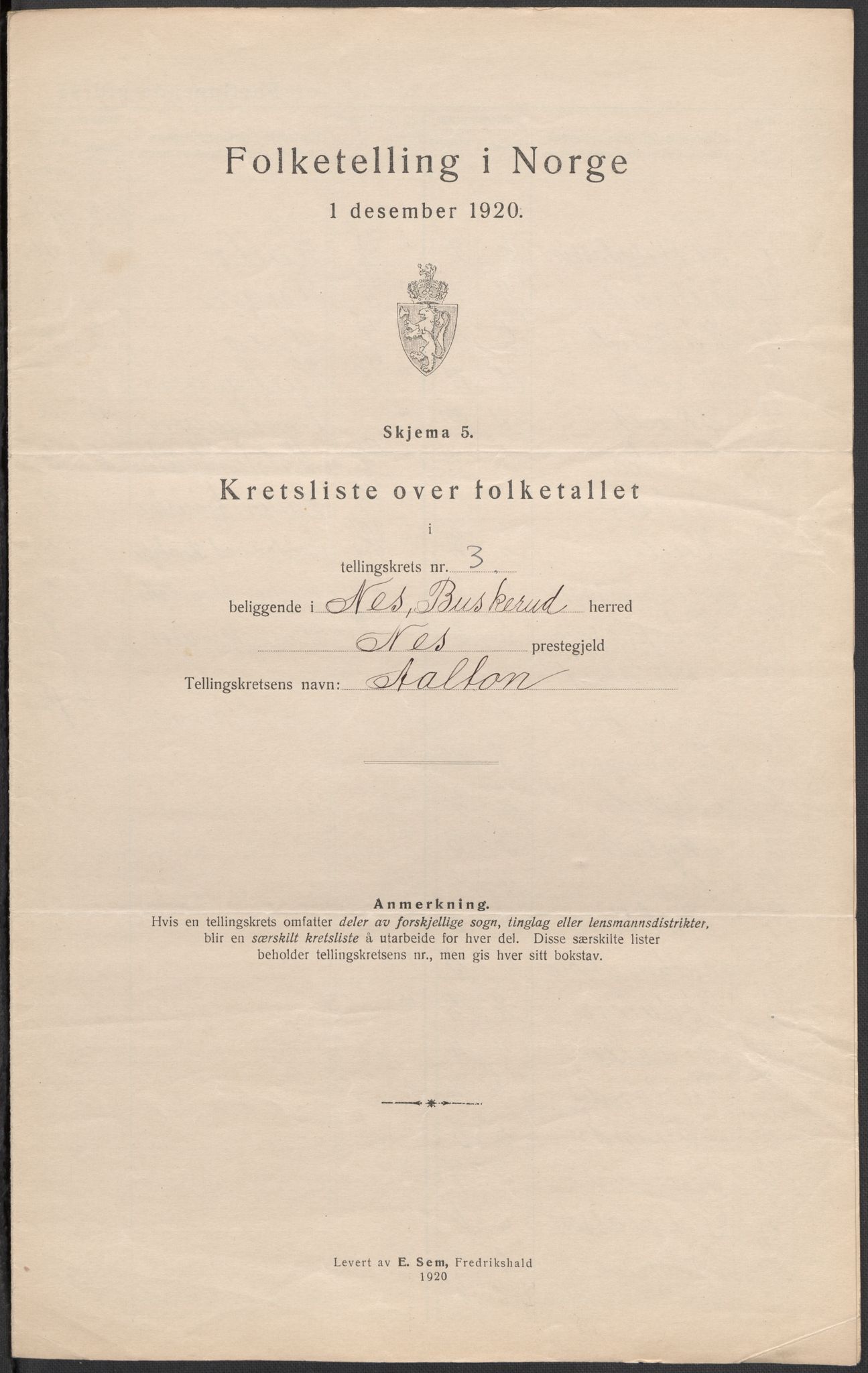 SAKO, Folketelling 1920 for 0616 Nes herred, 1920, s. 12