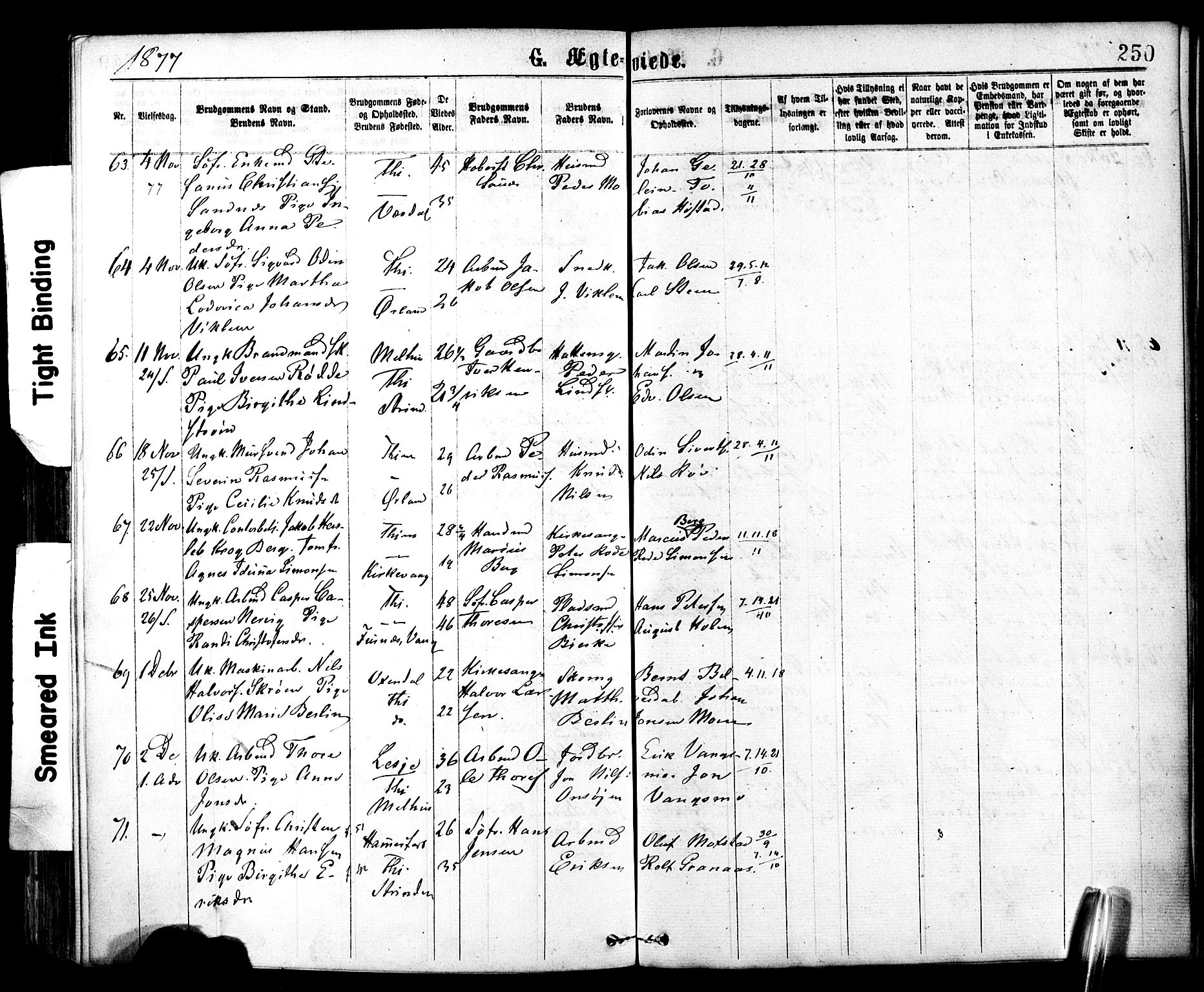 Ministerialprotokoller, klokkerbøker og fødselsregistre - Sør-Trøndelag, SAT/A-1456/602/L0118: Ministerialbok nr. 602A16, 1873-1879, s. 250