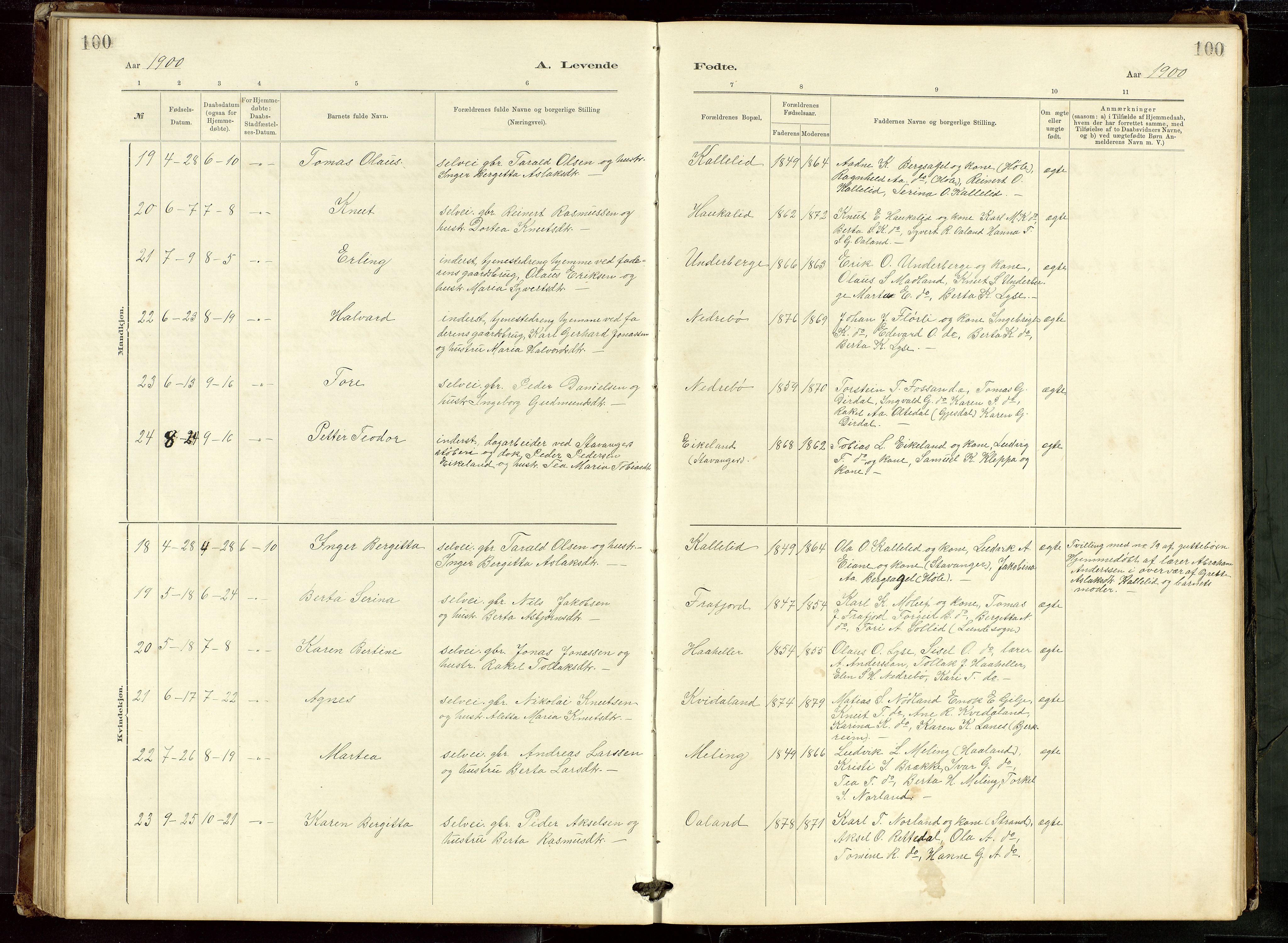 Høgsfjord sokneprestkontor, AV/SAST-A-101624/H/Ha/Hab/L0009: Klokkerbok nr. B 9, 1883-1920, s. 100