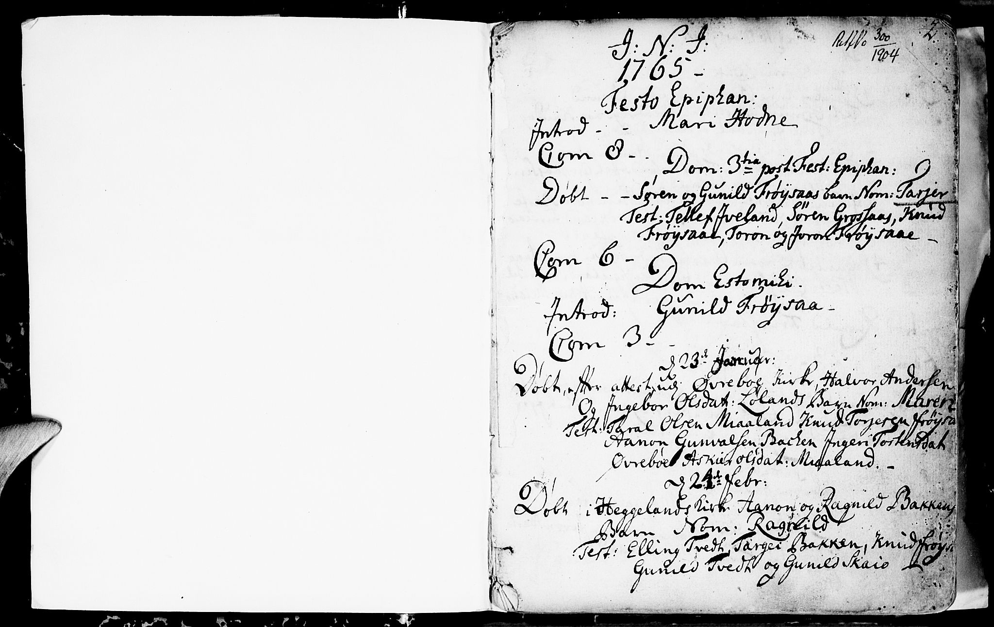 Evje sokneprestkontor, SAK/1111-0008/F/Fa/Fac/L0002: Ministerialbok nr. A 2, 1765-1816, s. 2
