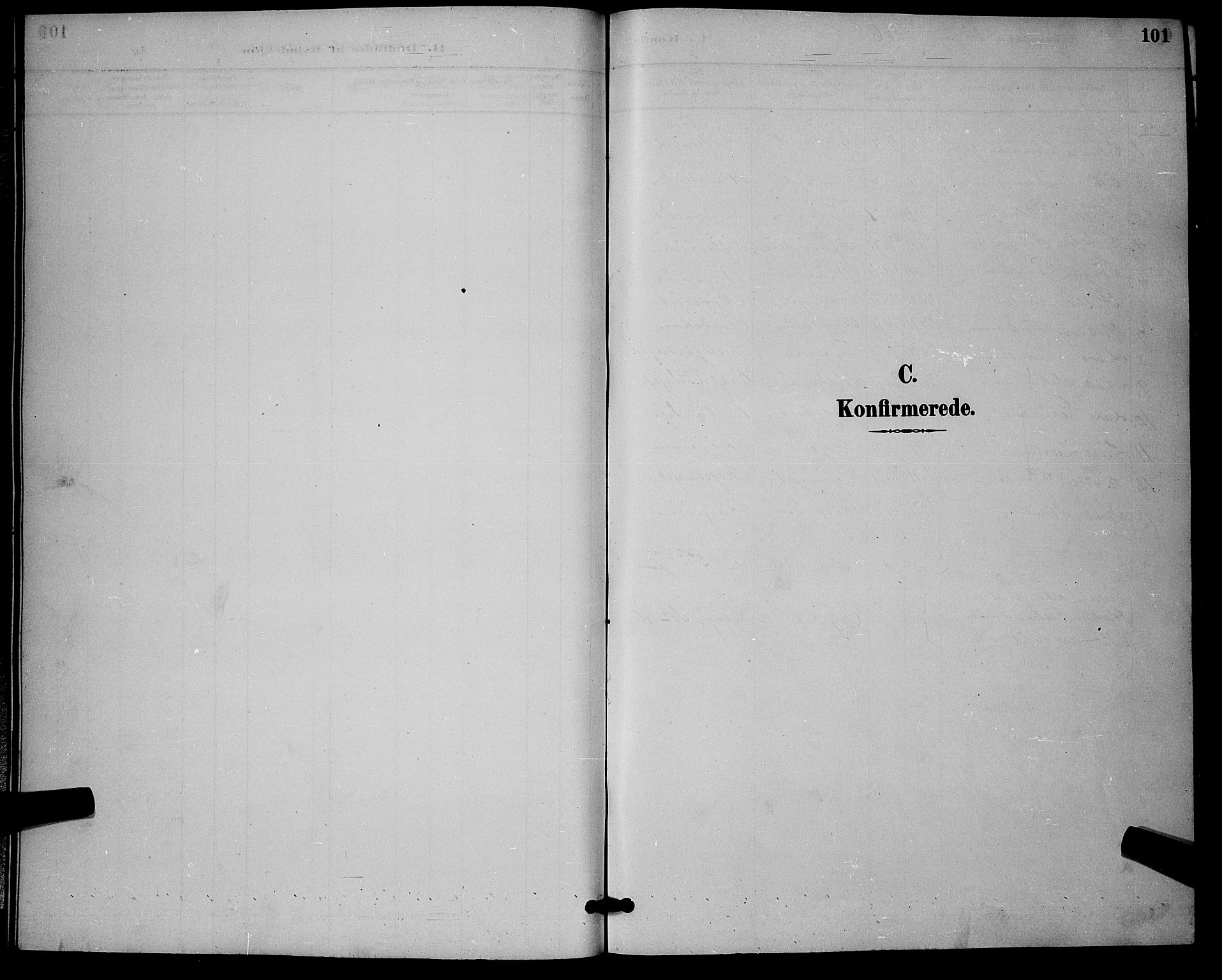 Nore kirkebøker, SAKO/A-238/G/Ga/L0003: Klokkerbok nr. I 3, 1886-1903, s. 101