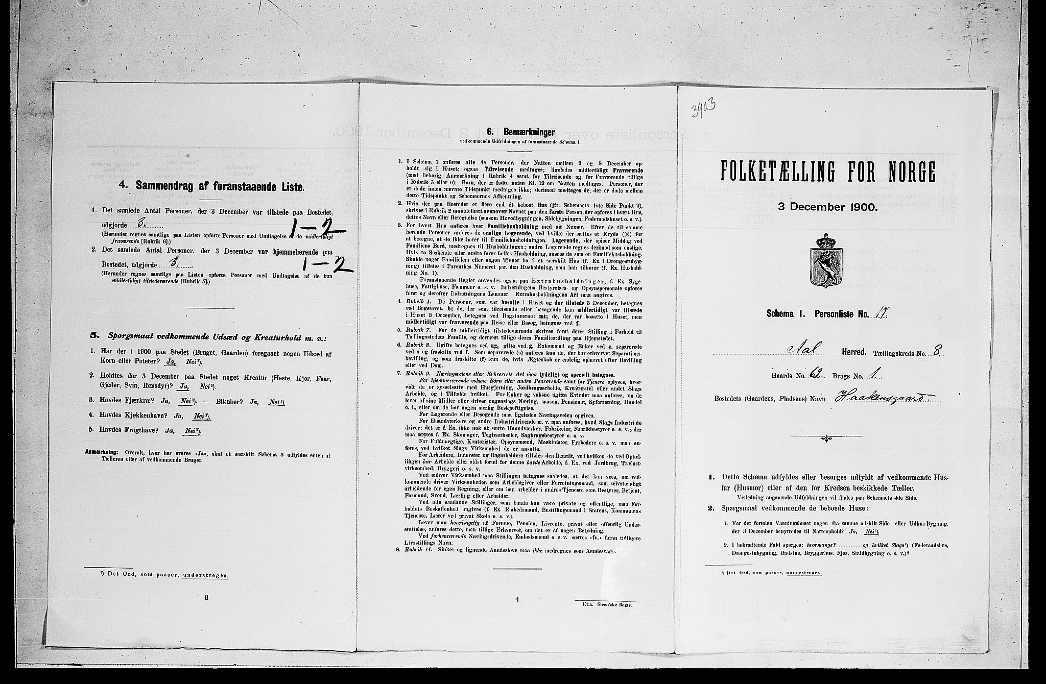 RA, Folketelling 1900 for 0619 Ål herred, 1900, s. 713