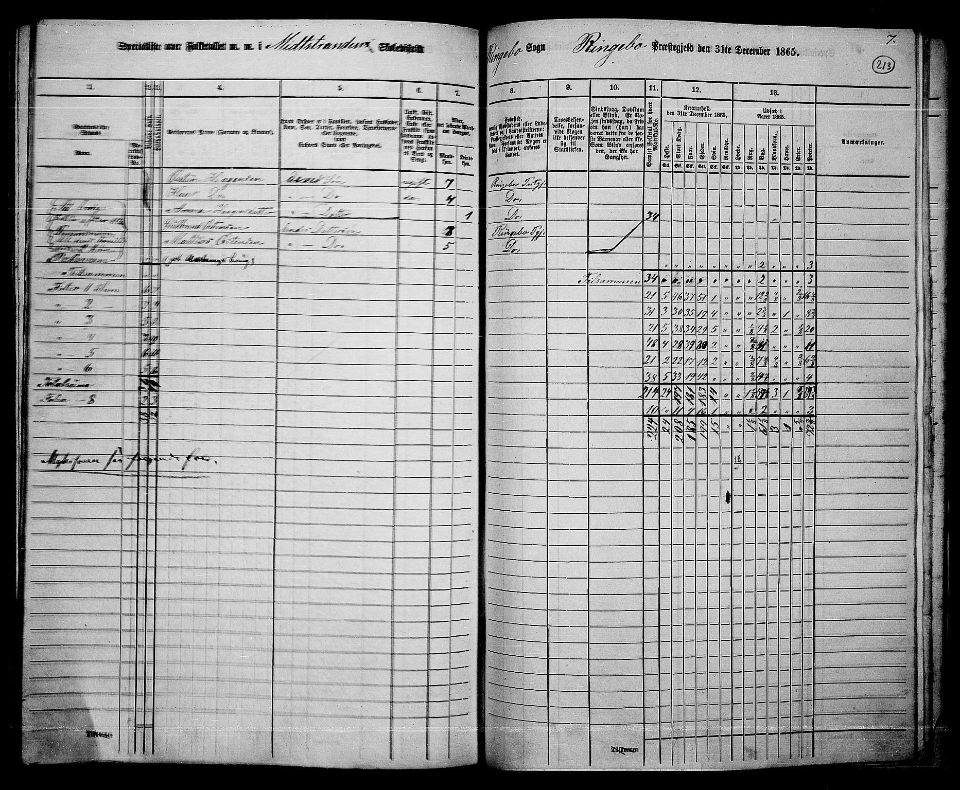 RA, Folketelling 1865 for 0520P Ringebu prestegjeld, 1865, s. 186