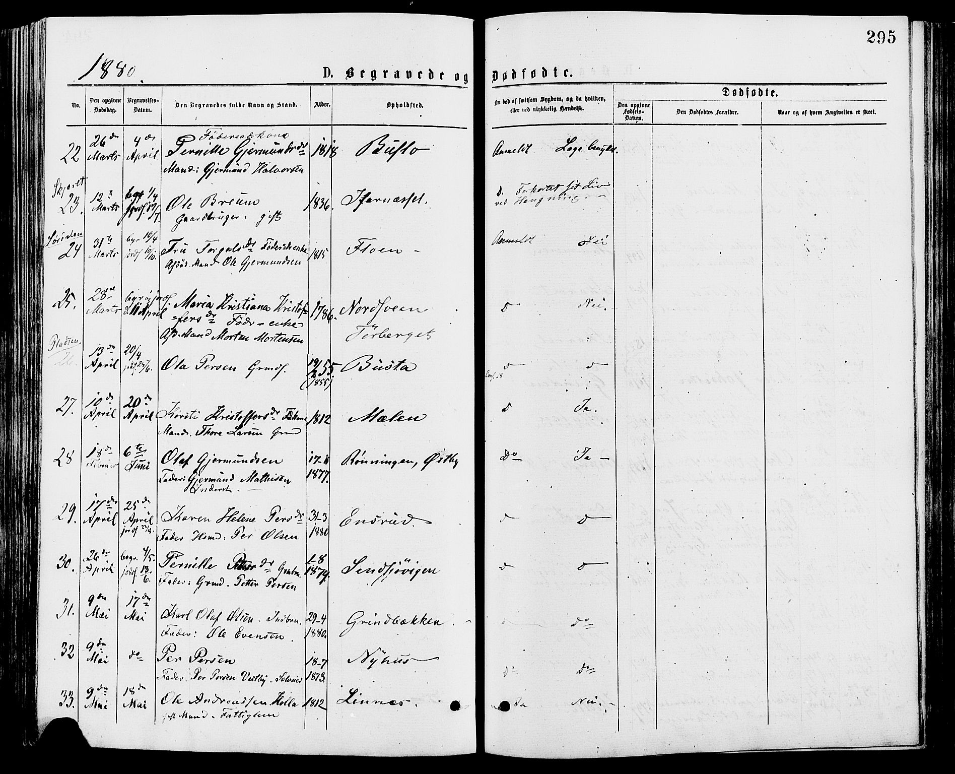 Trysil prestekontor, AV/SAH-PREST-046/H/Ha/Haa/L0007: Ministerialbok nr. 7, 1874-1880, s. 295