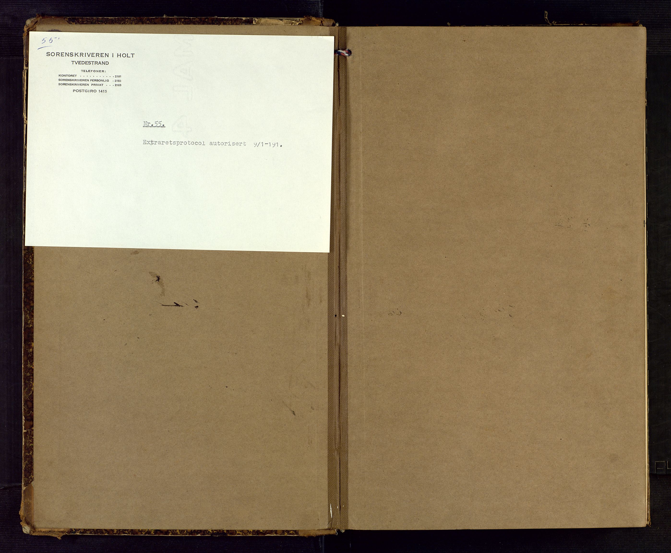 Holt sorenskriveri, SAK/1221-0002/F/Fb/L0009: Ekstrarettsprotokoll nr 9, 1891-1898