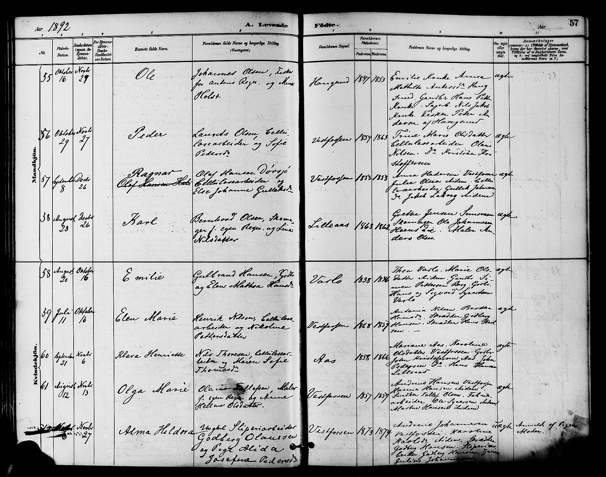Eiker kirkebøker, AV/SAKO-A-4/F/Fb/L0002: Ministerialbok nr. II 2, 1889-1896, s. 57