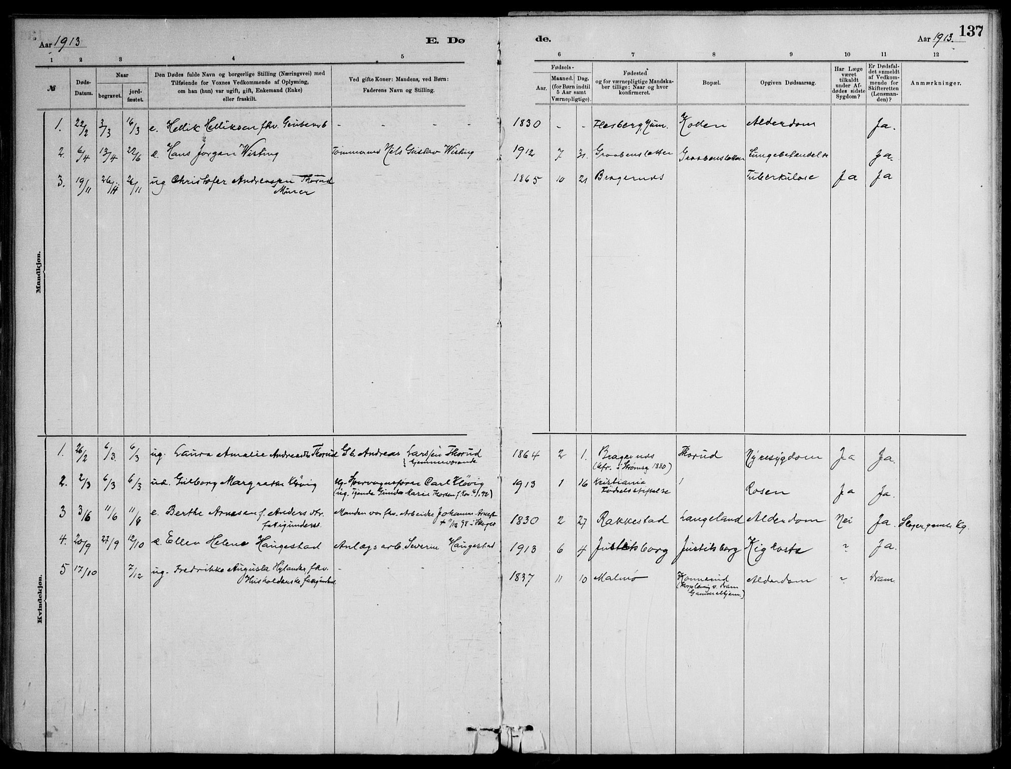 Skoger kirkebøker, SAKO/A-59/F/Fb/L0001: Ministerialbok nr. II 1, 1885-1913, s. 137