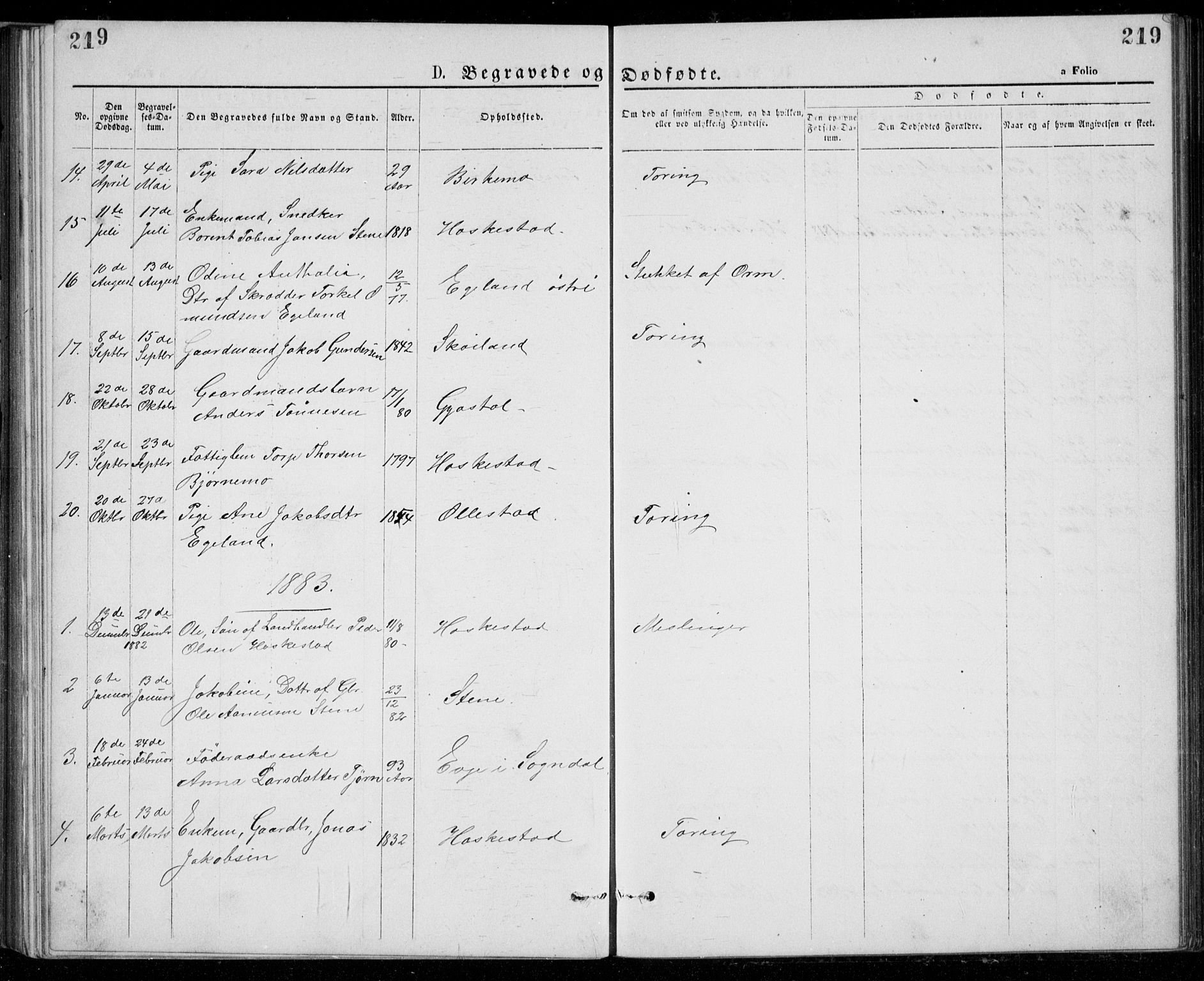 Lund sokneprestkontor, SAST/A-101809/S07/L0005: Klokkerbok nr. B 5, 1875-1889, s. 219