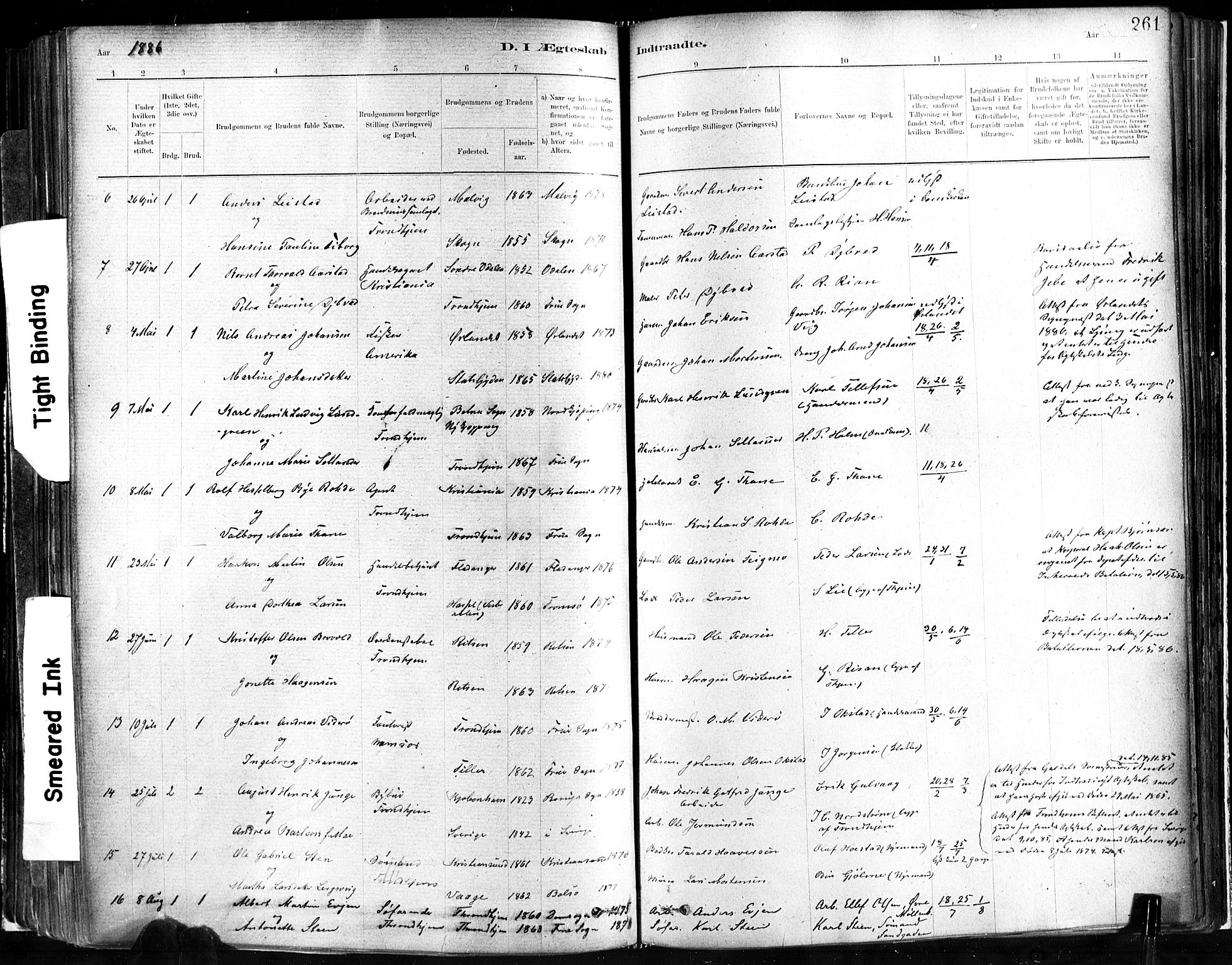 Ministerialprotokoller, klokkerbøker og fødselsregistre - Sør-Trøndelag, SAT/A-1456/602/L0119: Ministerialbok nr. 602A17, 1880-1901, s. 261