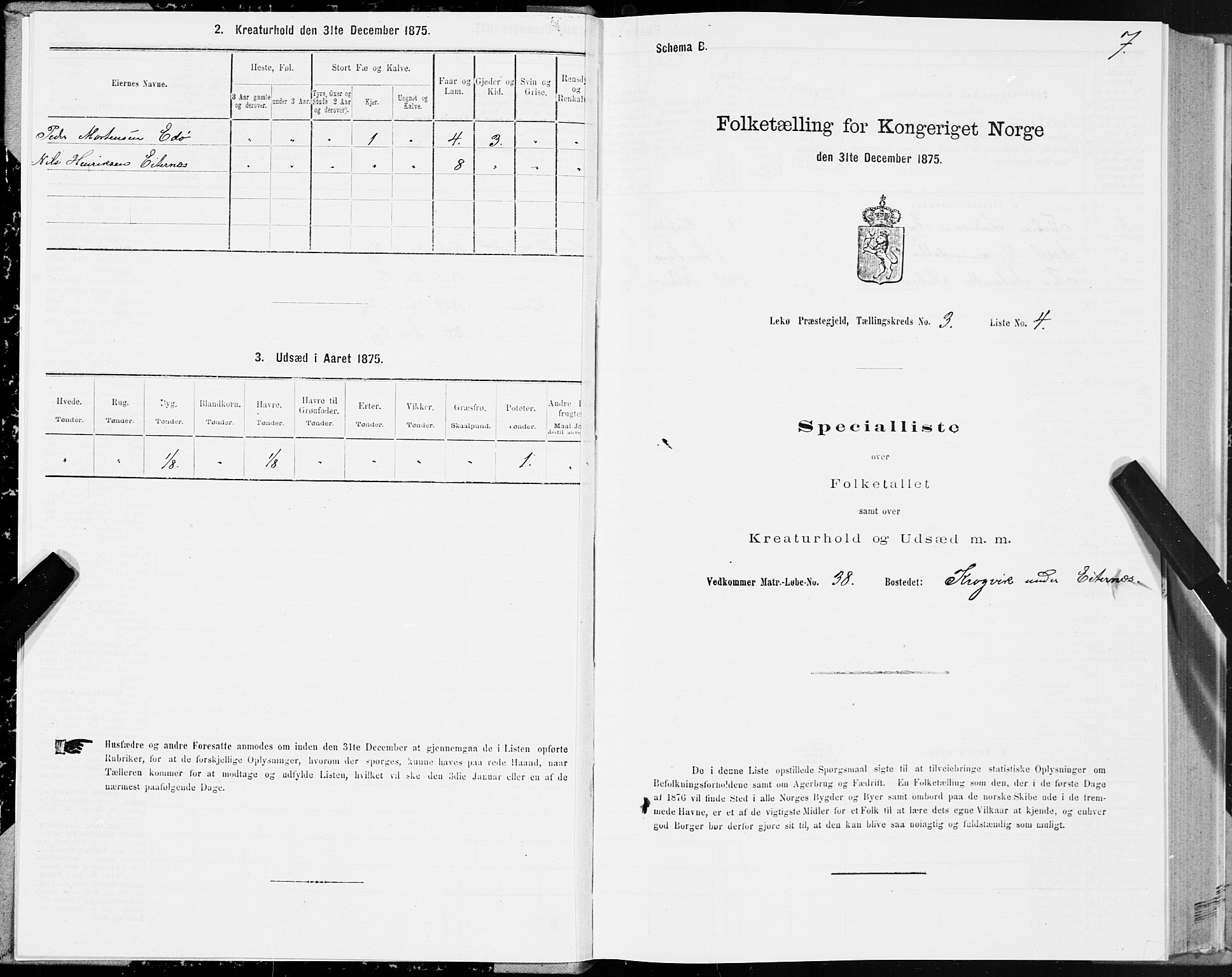 SAT, Folketelling 1875 for 1755P Leka prestegjeld, 1875, s. 2007