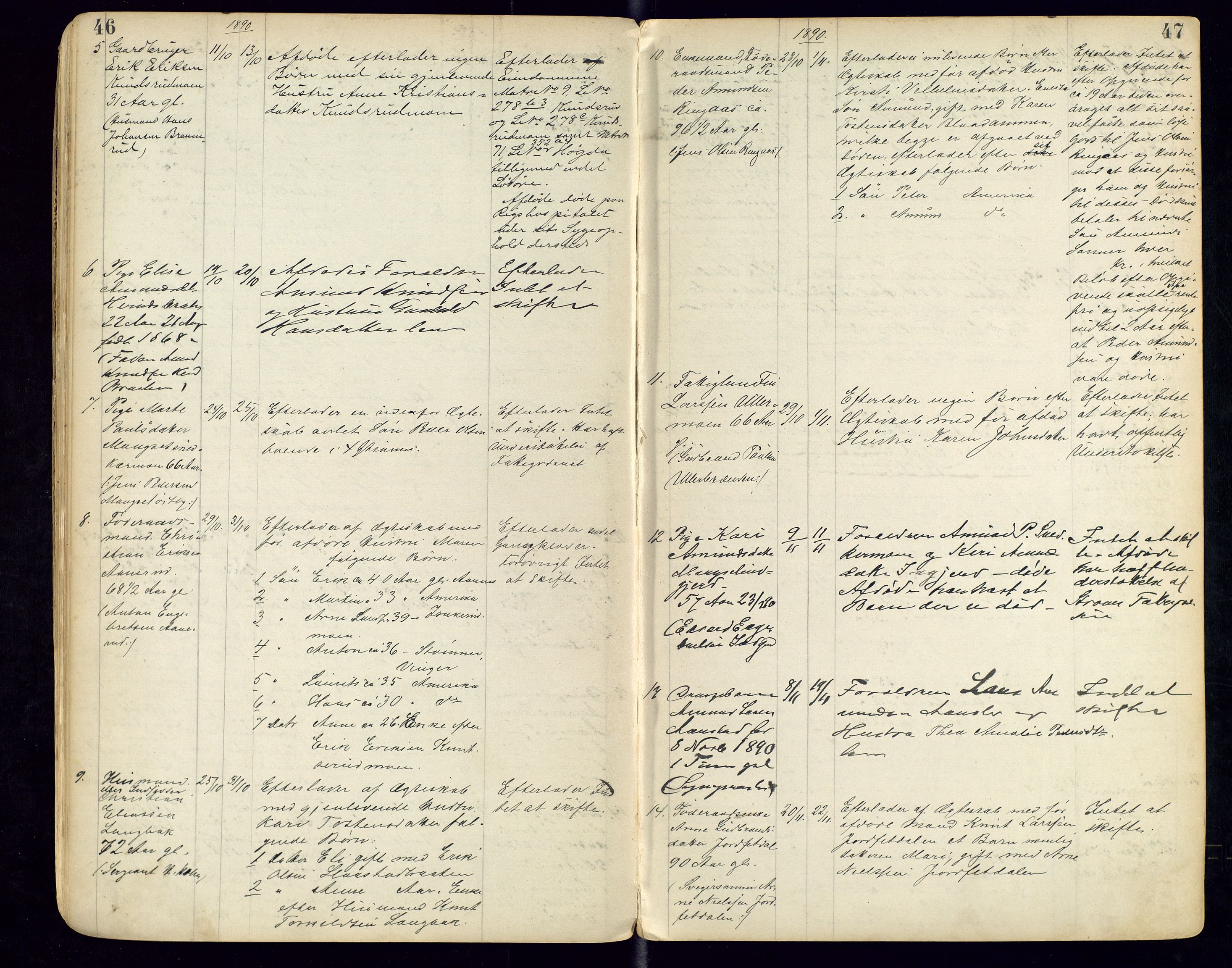 Sør-Odal lensmannskontor, AV/SAH-LHS-022/H/Hb/L0001/0001: Protokoller over anmeldte dødsfall / Protokoll over anmeldte dødsfall, 1888-1901, s. 46-47