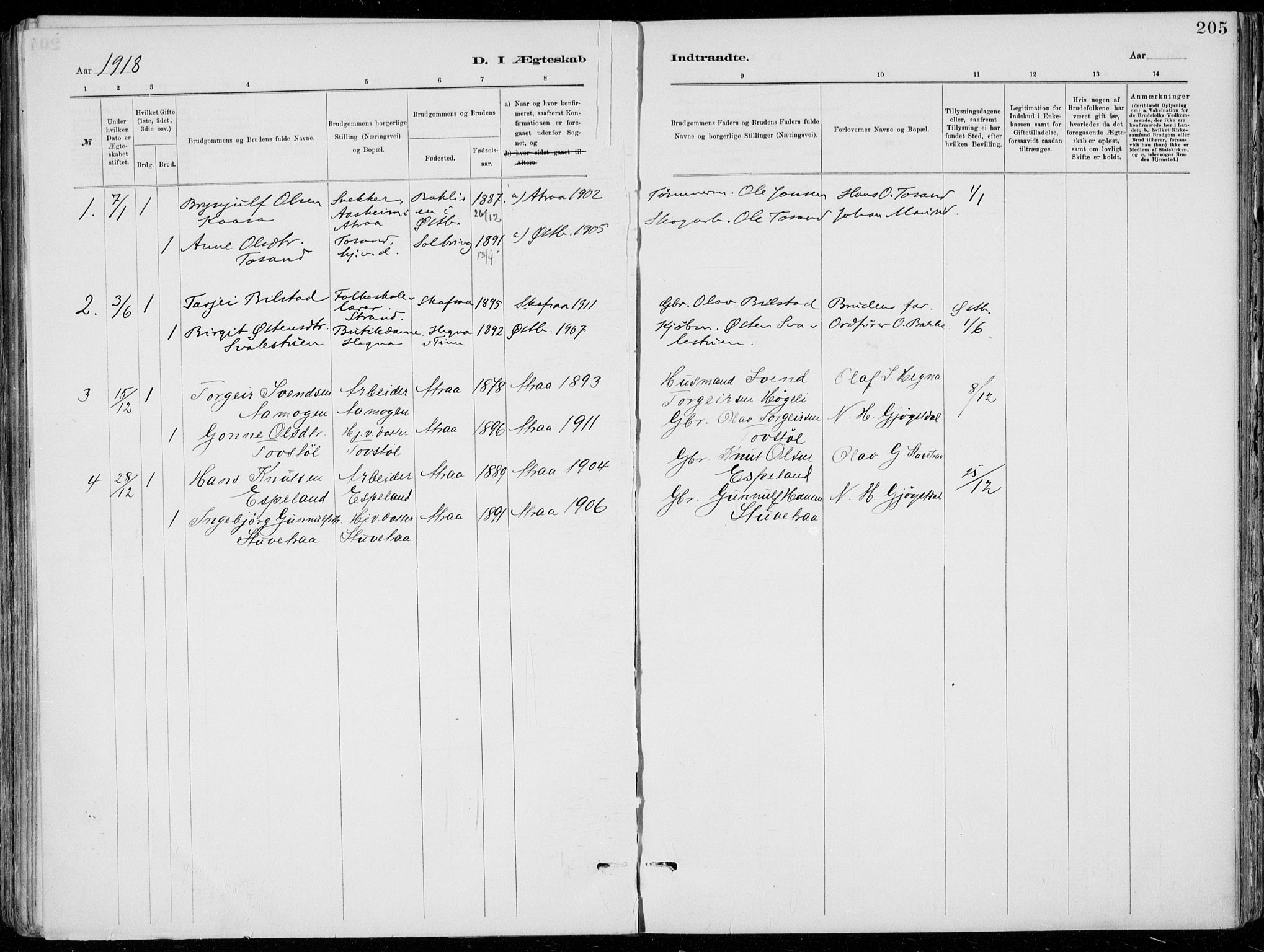 Tinn kirkebøker, AV/SAKO-A-308/F/Fa/L0007: Ministerialbok nr. I 7, 1878-1922, s. 205