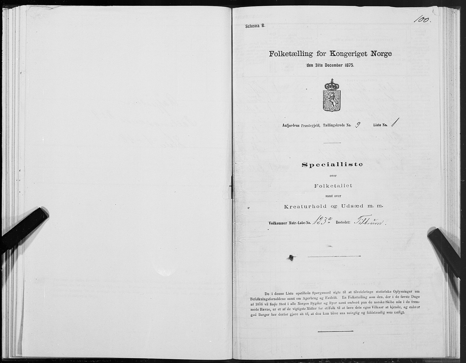 SAT, Folketelling 1875 for 1630P Aafjorden prestegjeld, 1875, s. 4100
