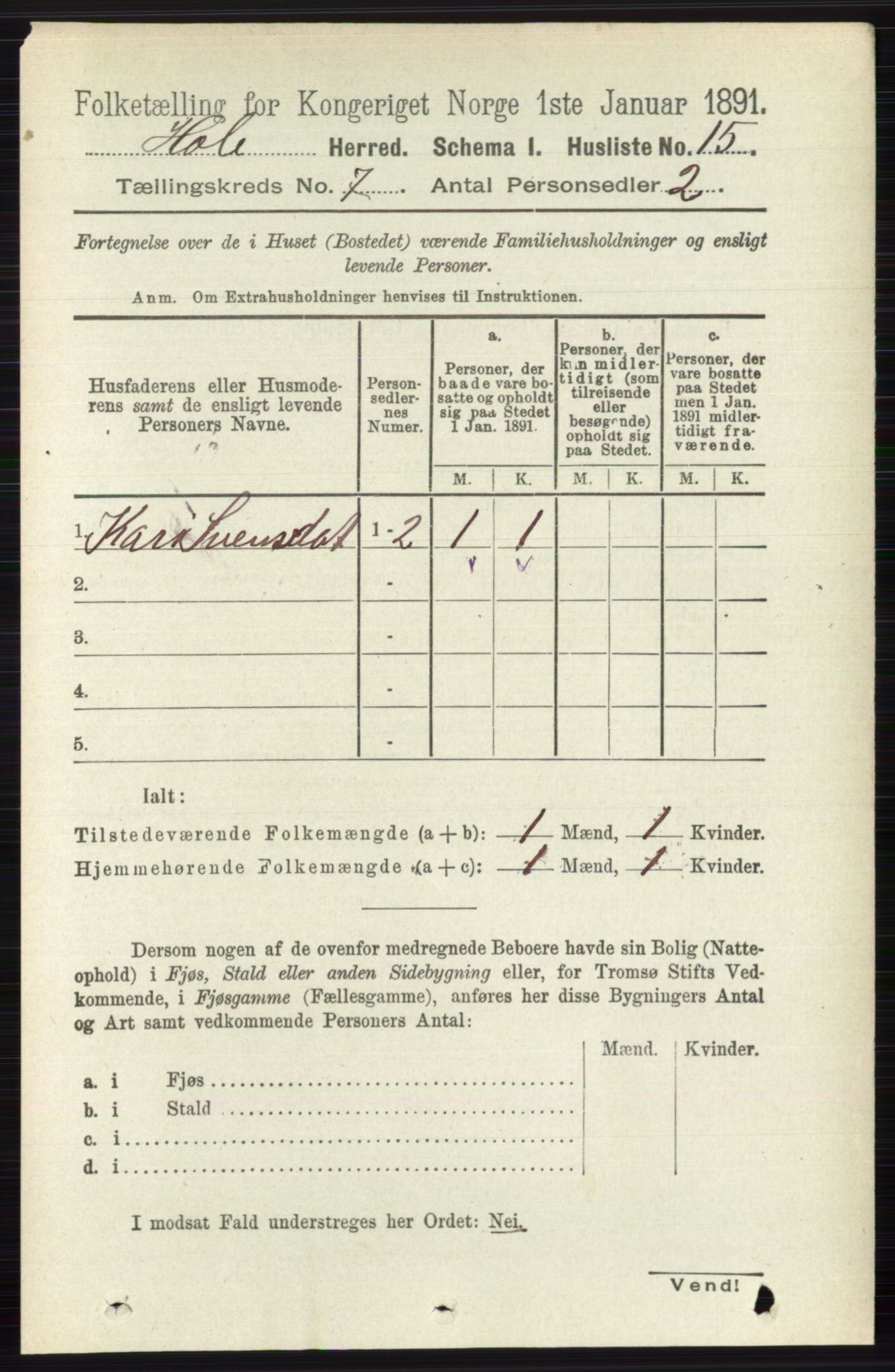 RA, Folketelling 1891 for 0612 Hole herred, 1891, s. 3896