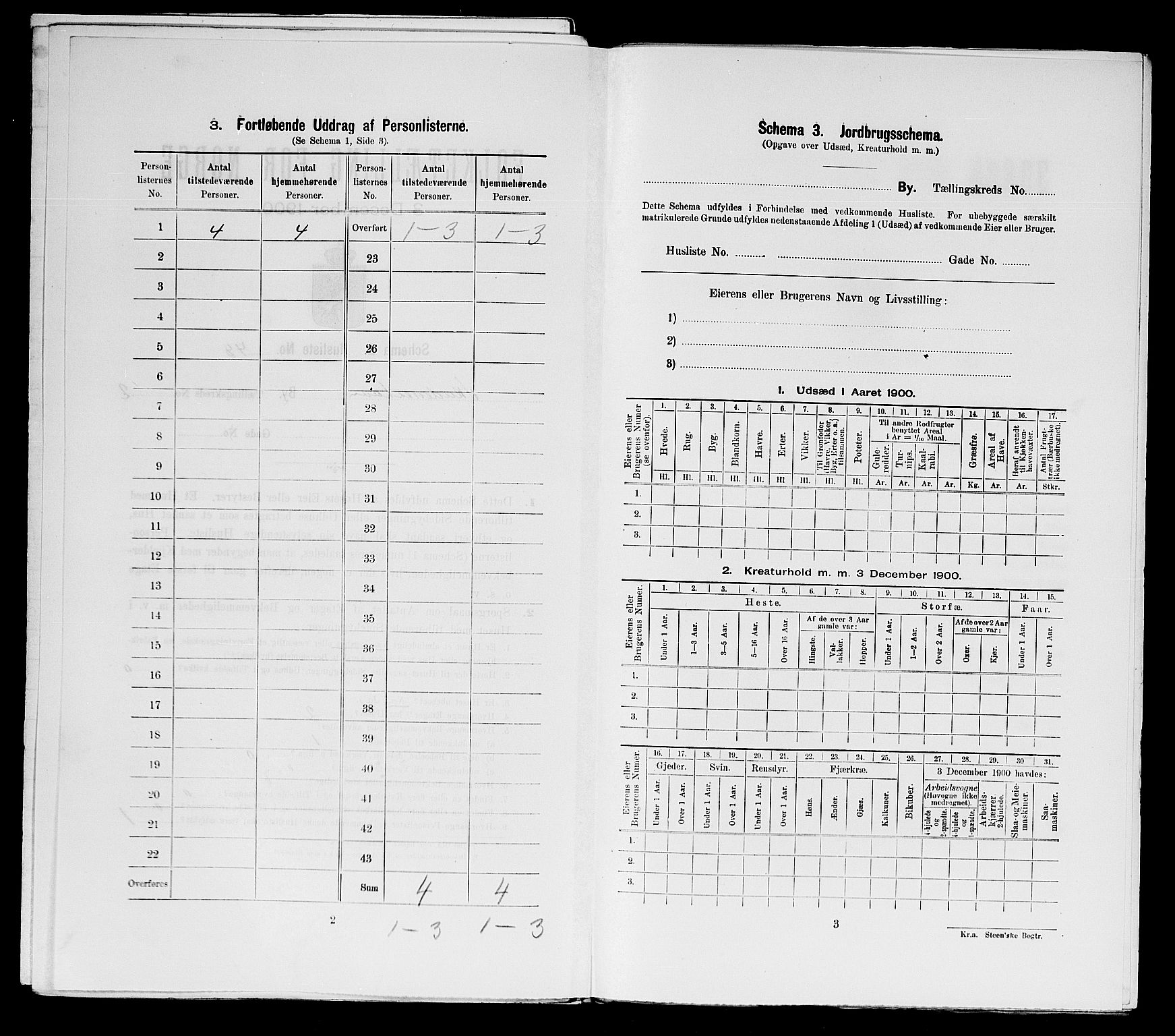 SAST, Folketelling 1900 for 1104 Skudeneshavn ladested, 1900, s. 518