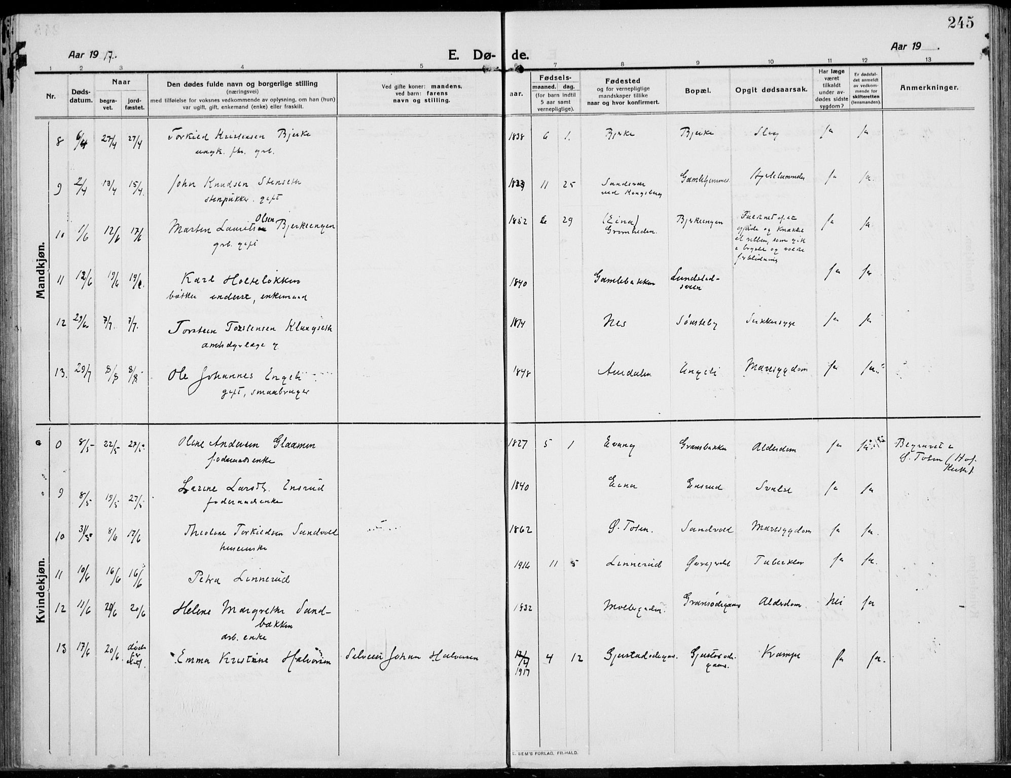 Kolbu prestekontor, AV/SAH-PREST-110/H/Ha/Haa/L0002: Ministerialbok nr. 2, 1912-1926, s. 245