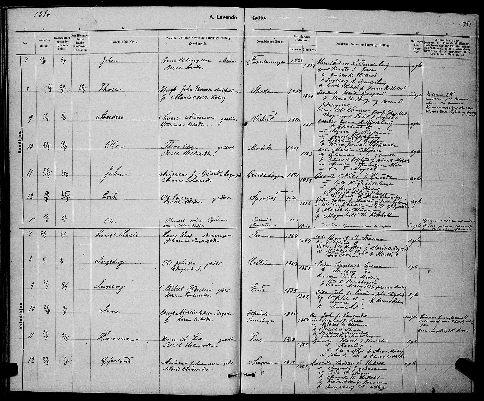 Ministerialprotokoller, klokkerbøker og fødselsregistre - Sør-Trøndelag, SAT/A-1456/672/L0863: Klokkerbok nr. 672C02, 1888-1901, s. 70